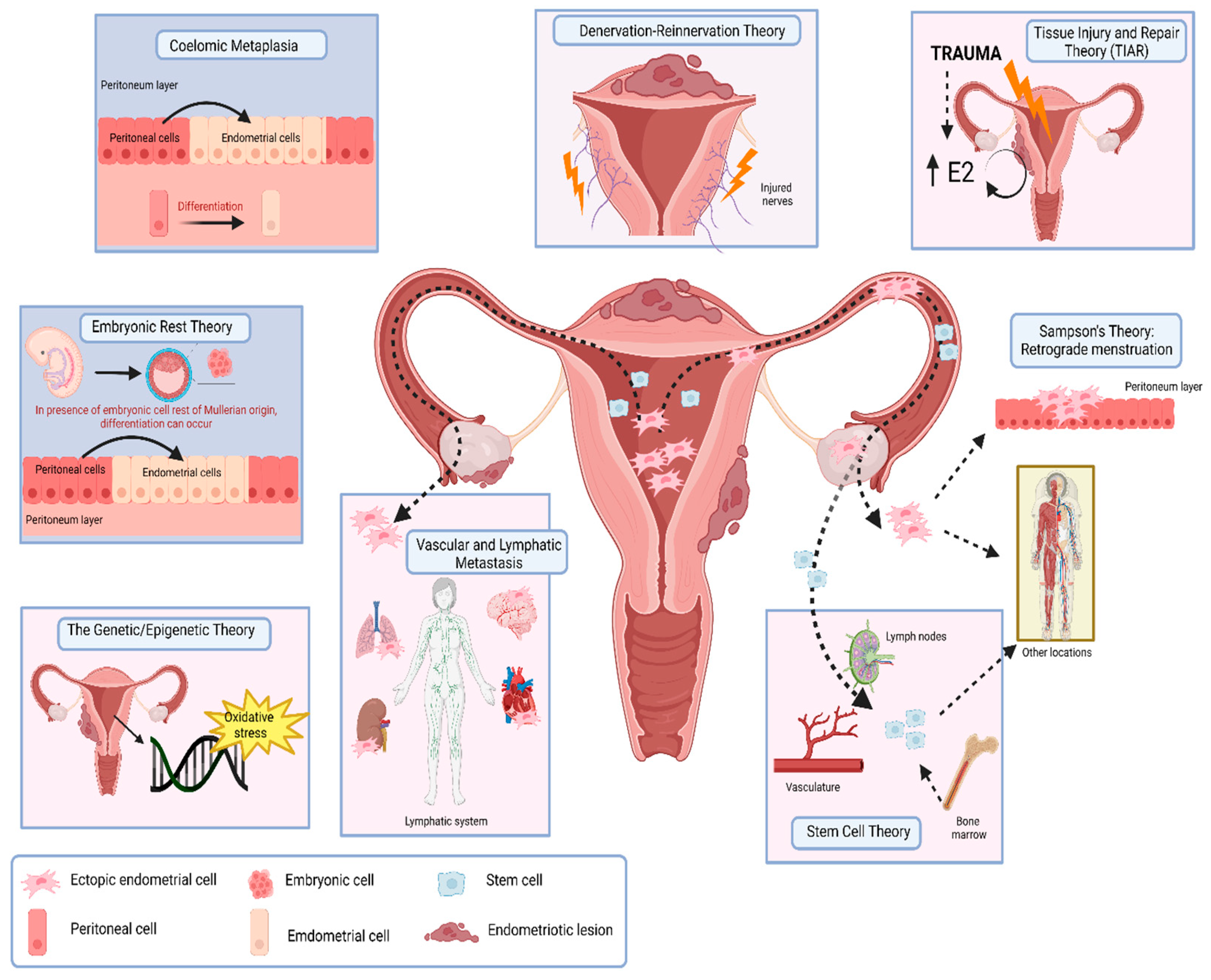 Ijms 25 05815 g001 Ijms 25 05815 g001