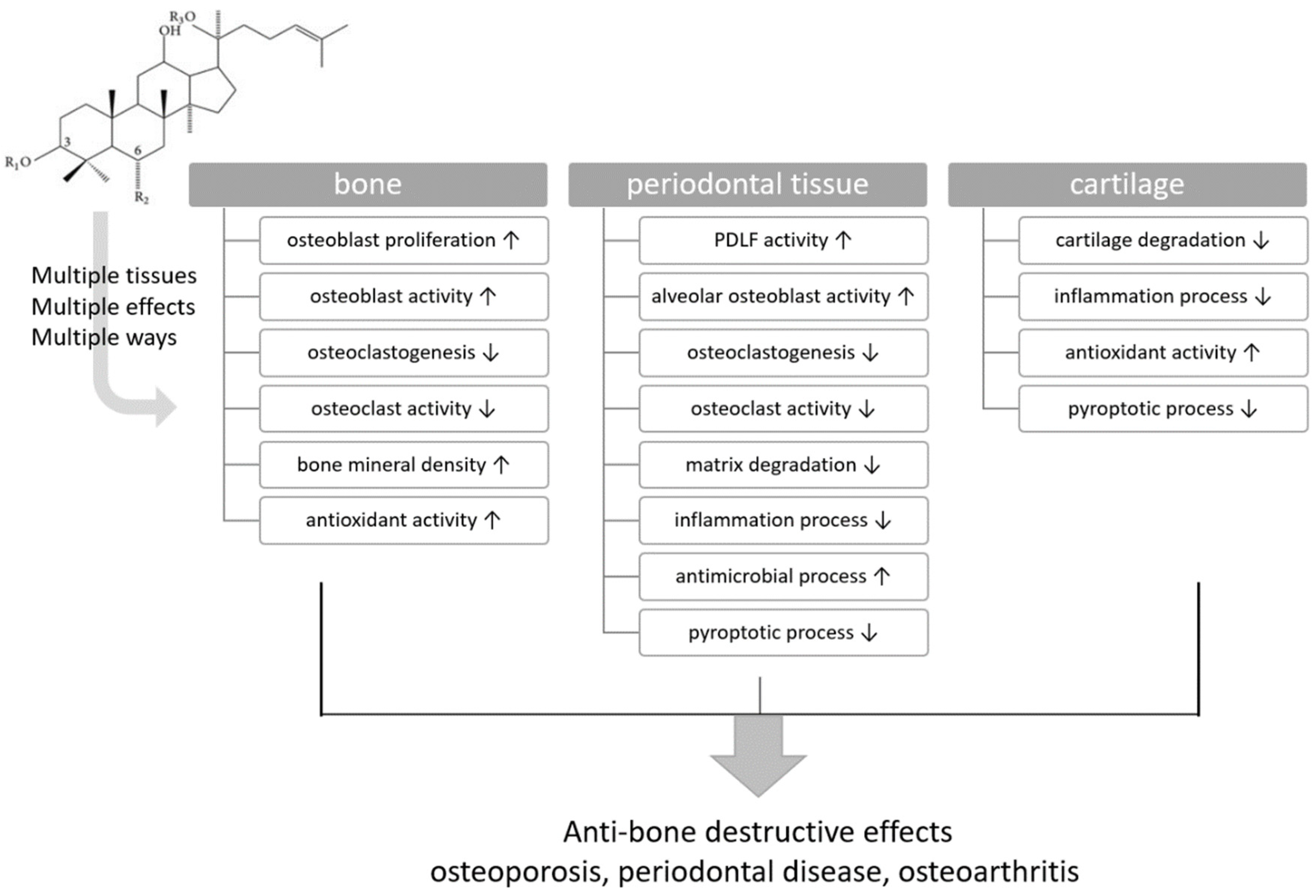 Ijms 25 05828 g001 Ijms 25 05828 g001