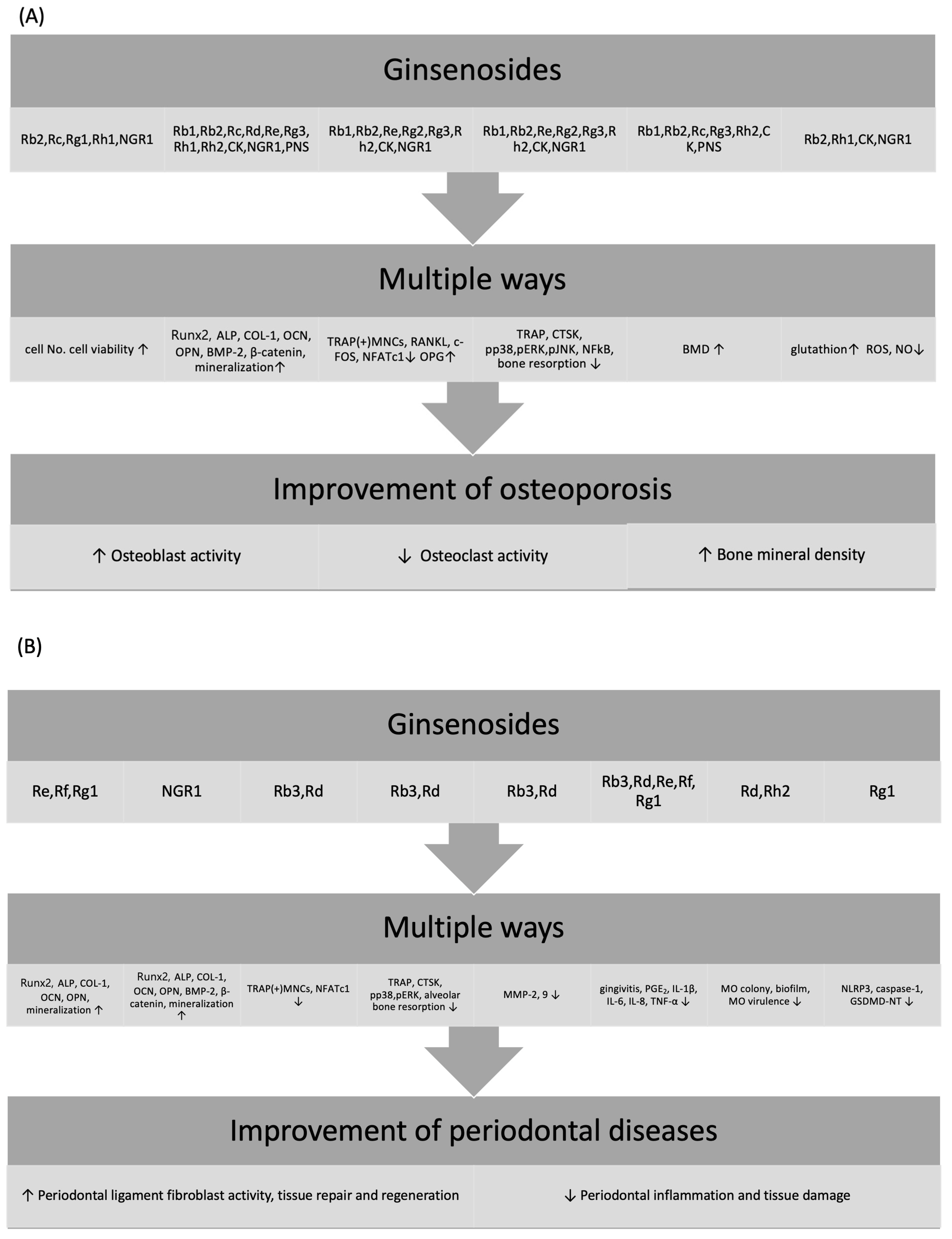Ijms 25 05828 g002a Ijms 25 05828 g002a