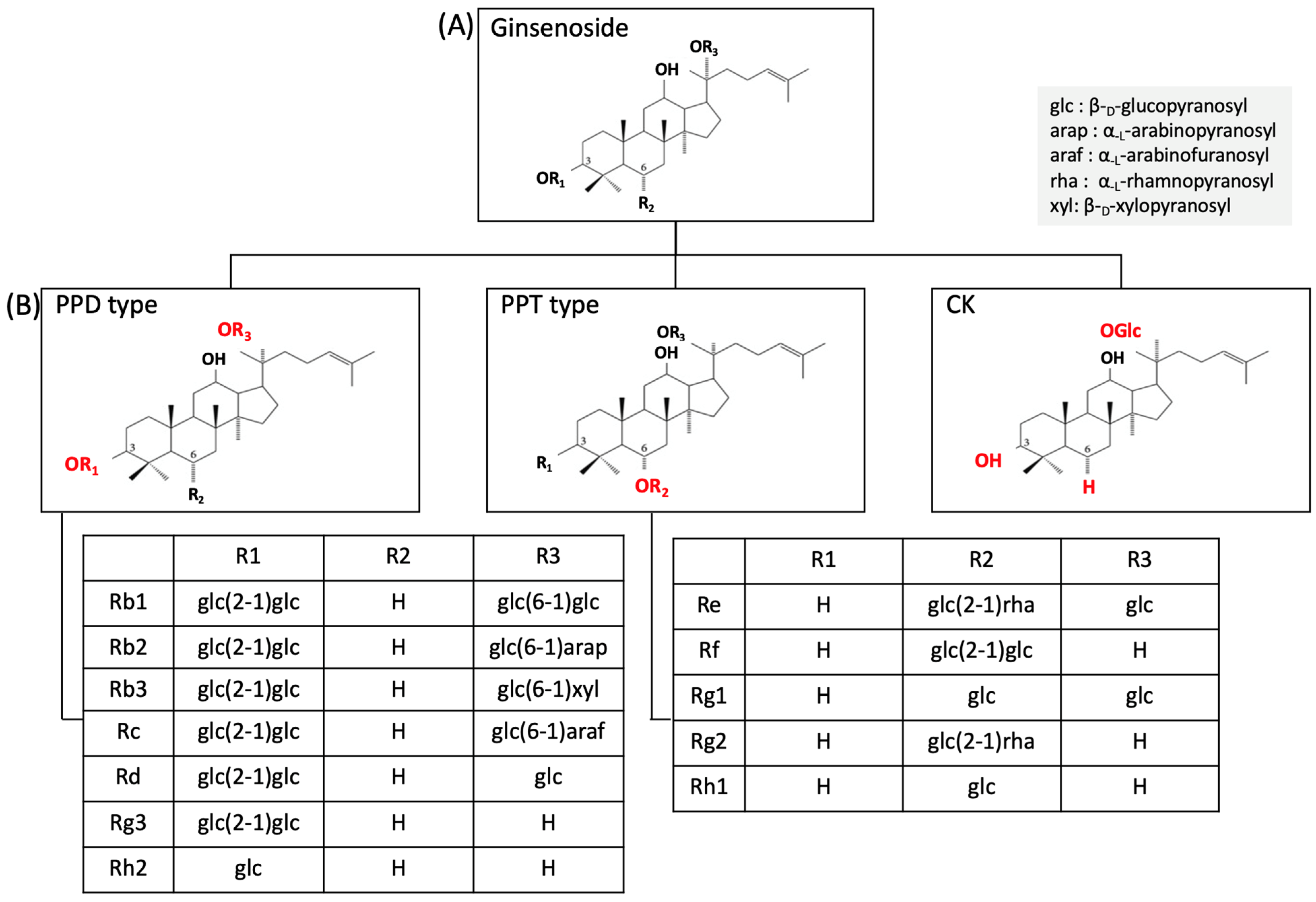Ijms 25 05828 g003 Ijms 25 05828 g003