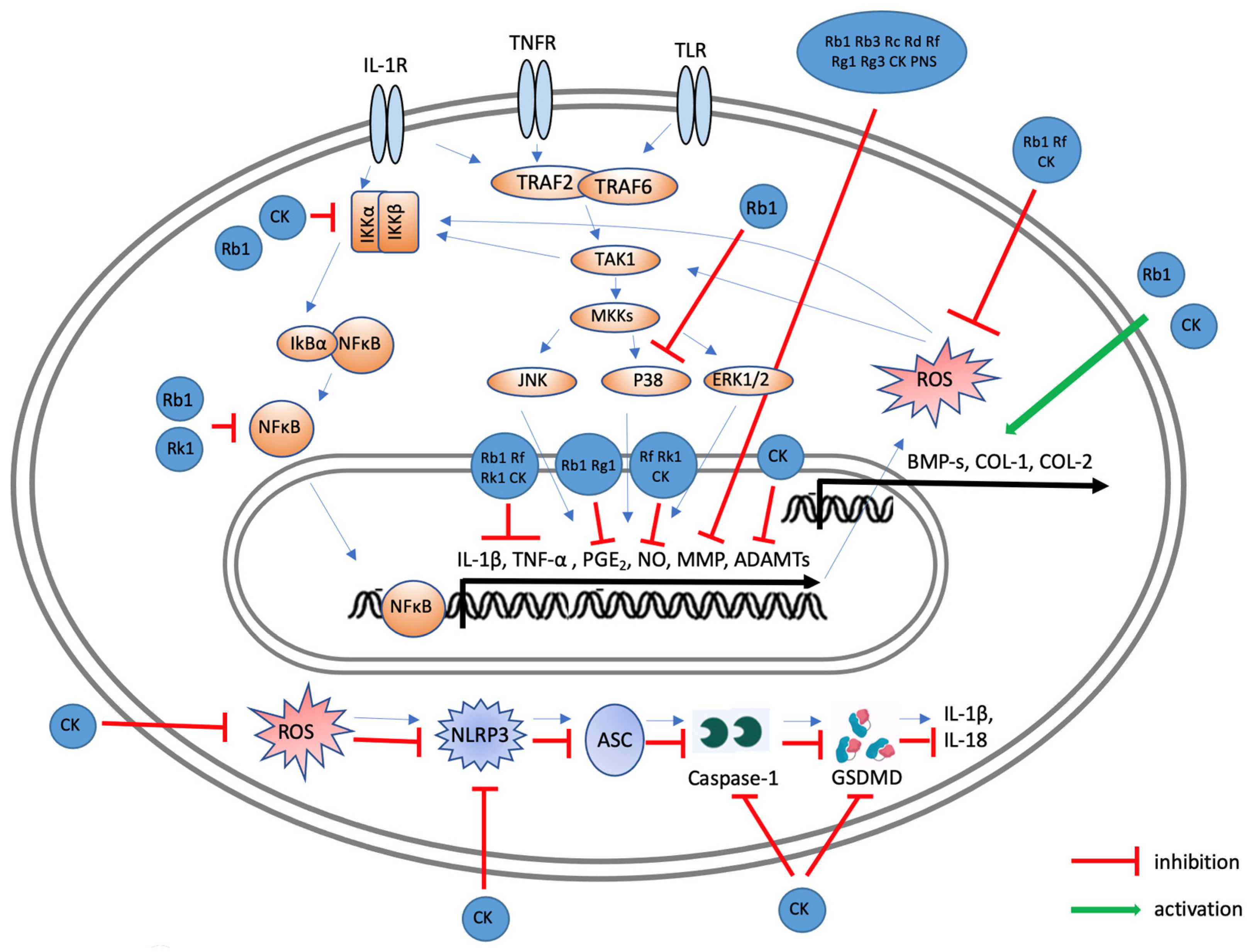 Ijms 25 05828 g007 Ijms 25 05828 g007