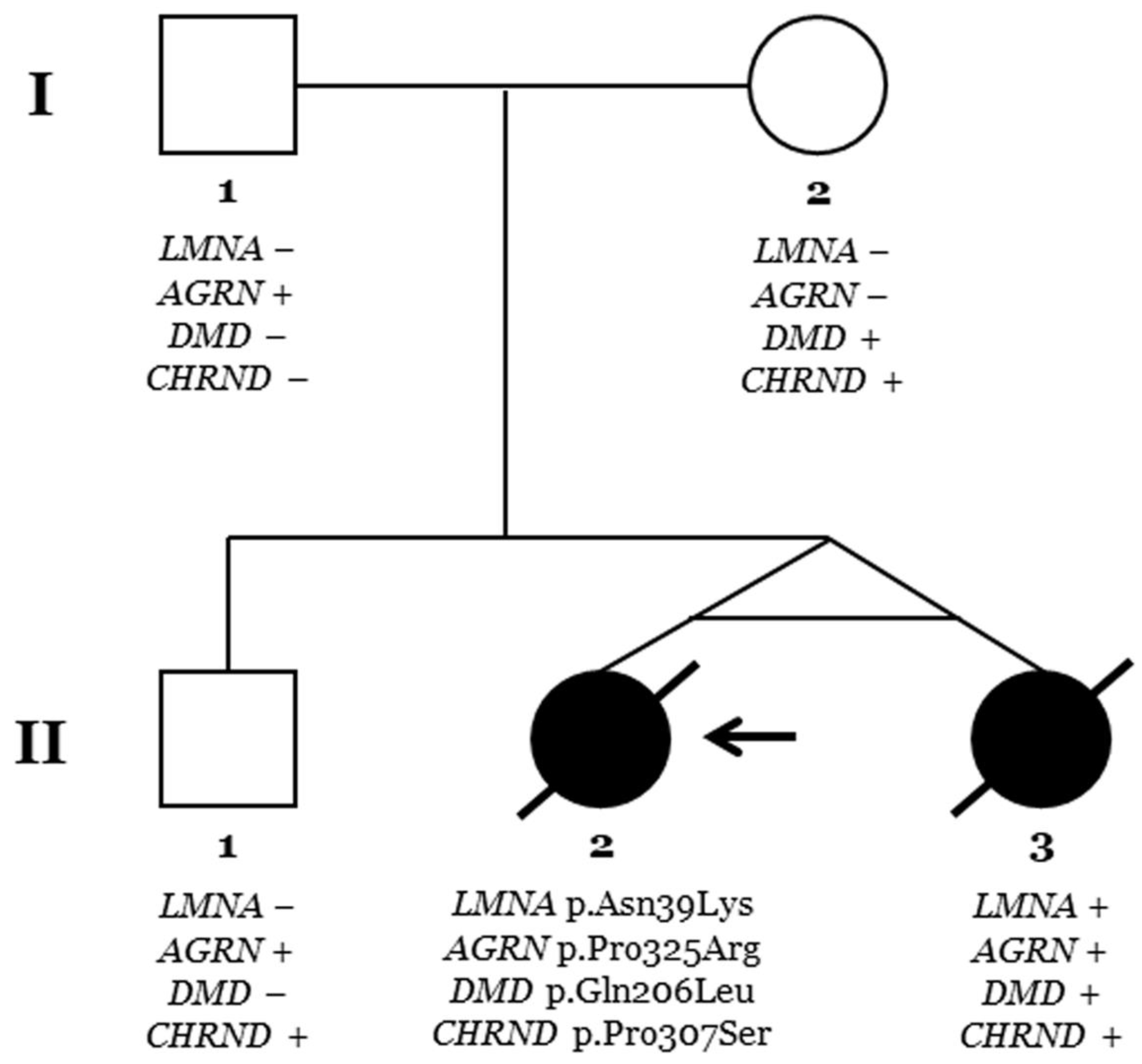 Ijms 25 05836 g006