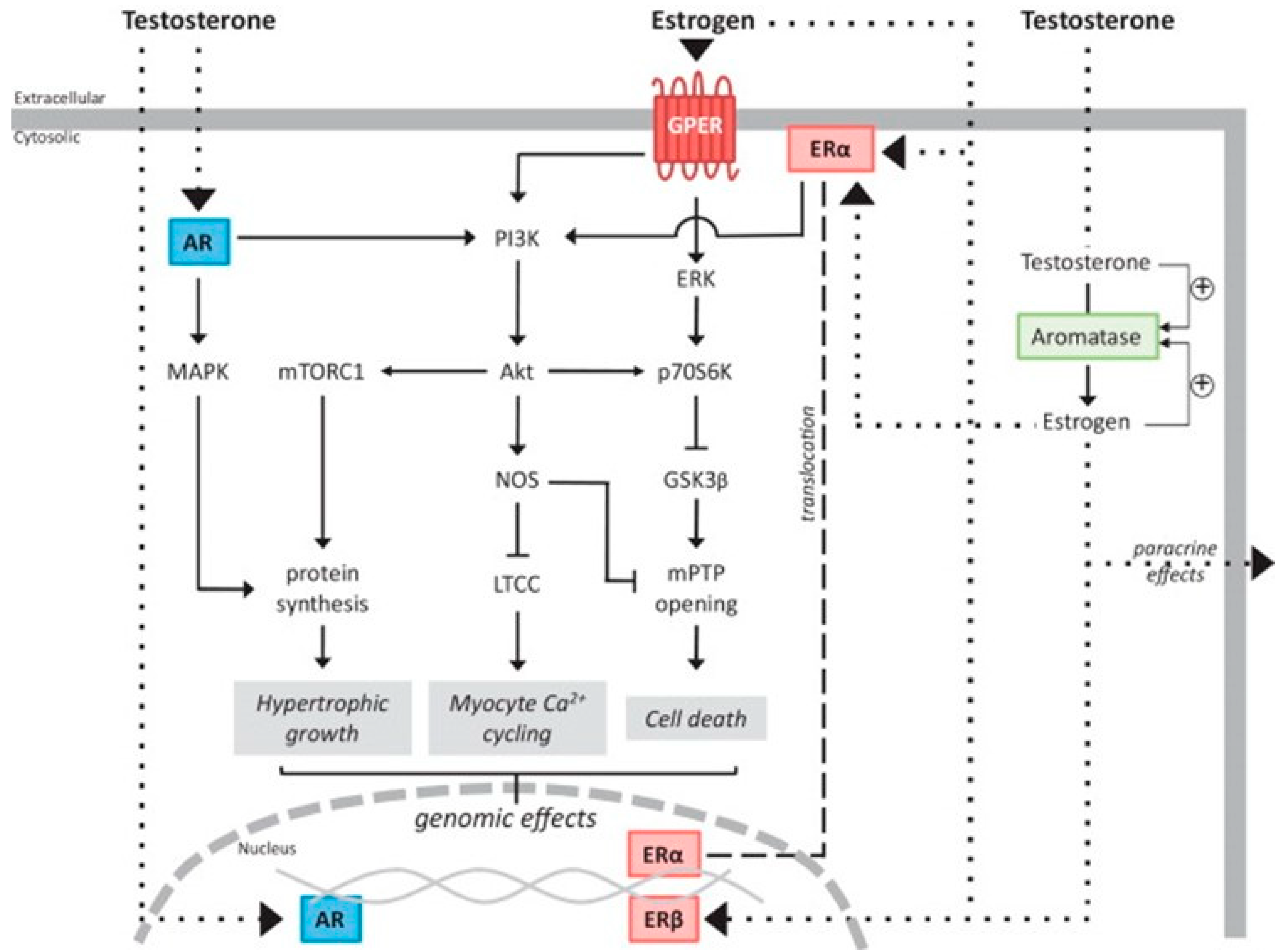 Ijms 25 05964 g002 Ijms 25 05964 g002