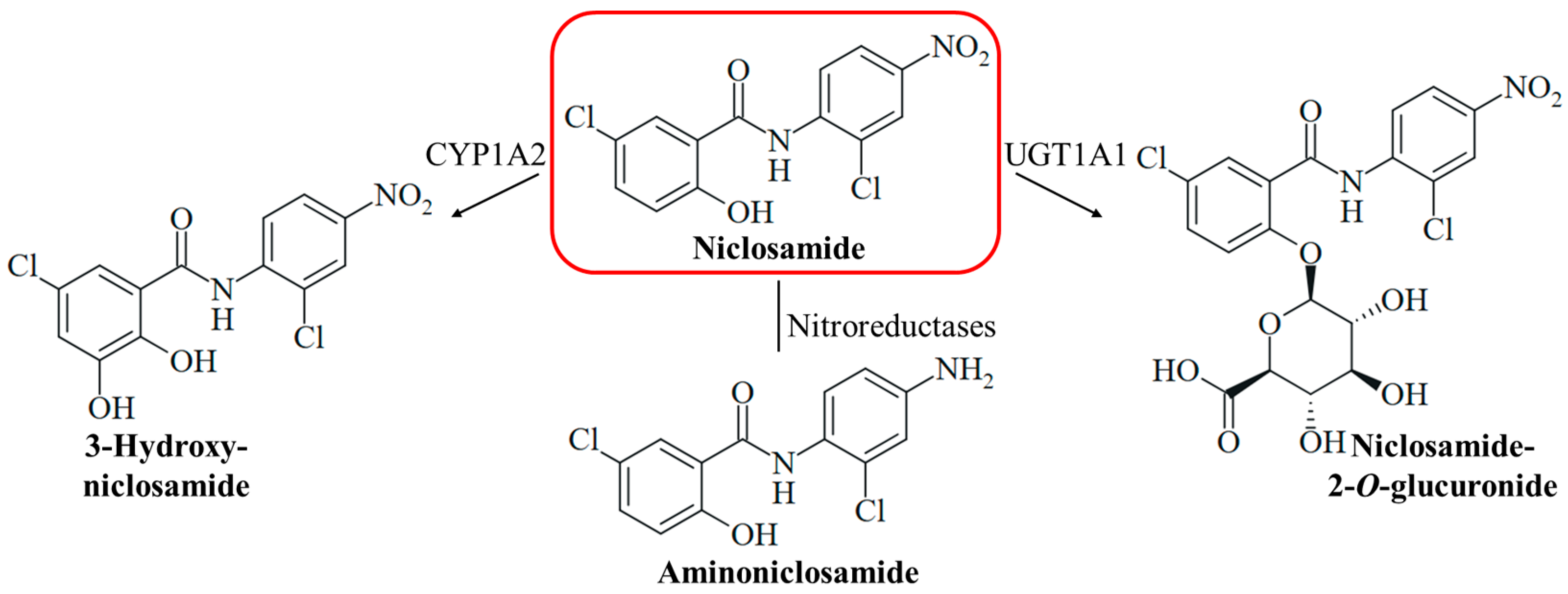 Ijms 25 05977 g002 Ijms 25 05977 g002