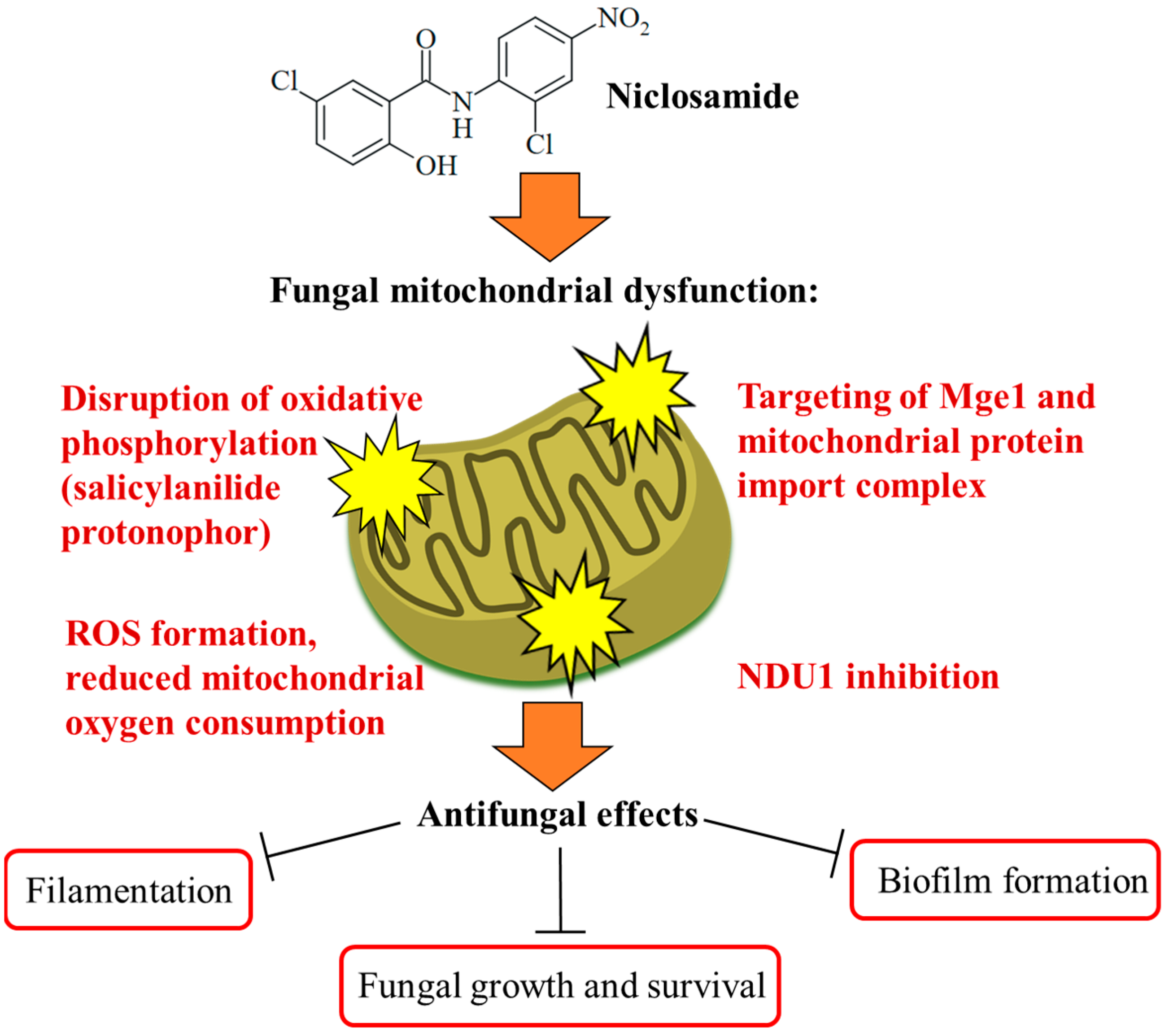 Ijms 25 05977 g003 Ijms 25 05977 g003