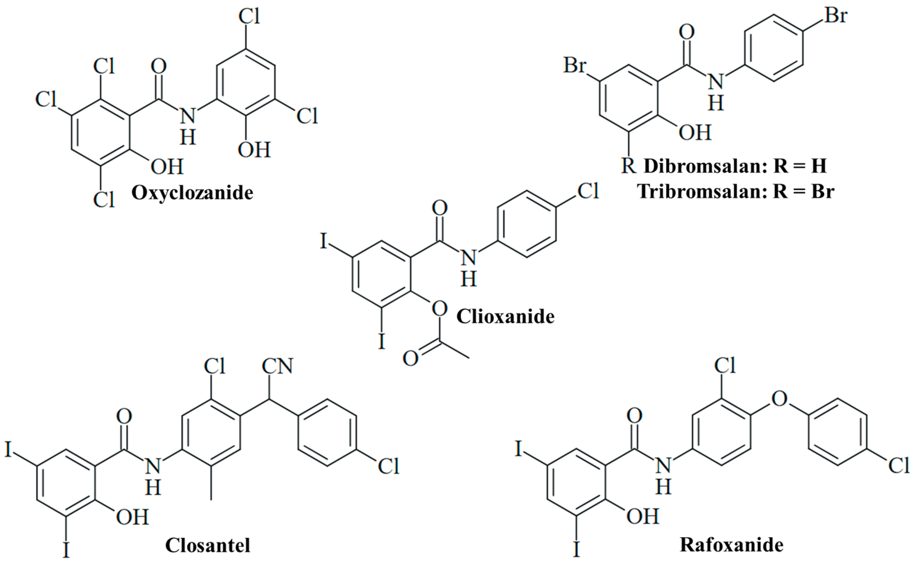 Ijms 25 05977 g004 Ijms 25 05977 g004