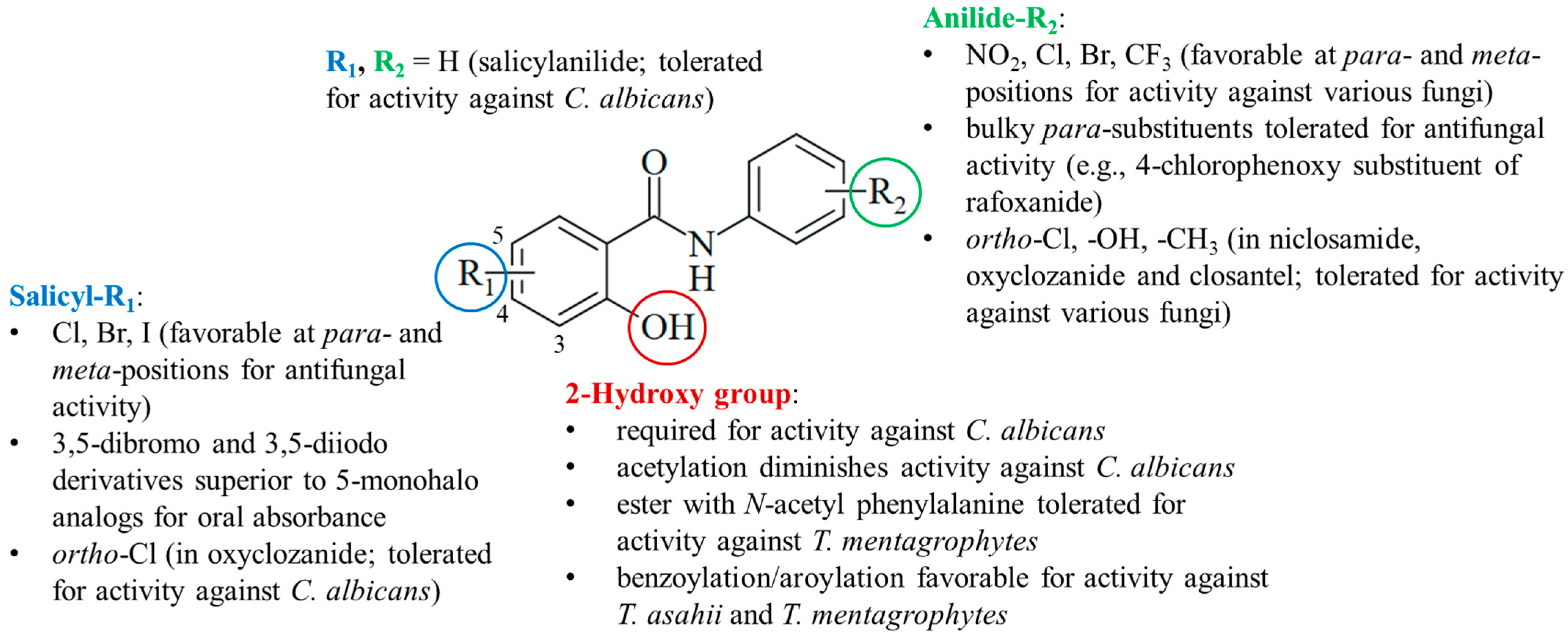 Ijms 25 05977 g006 Ijms 25 05977 g006