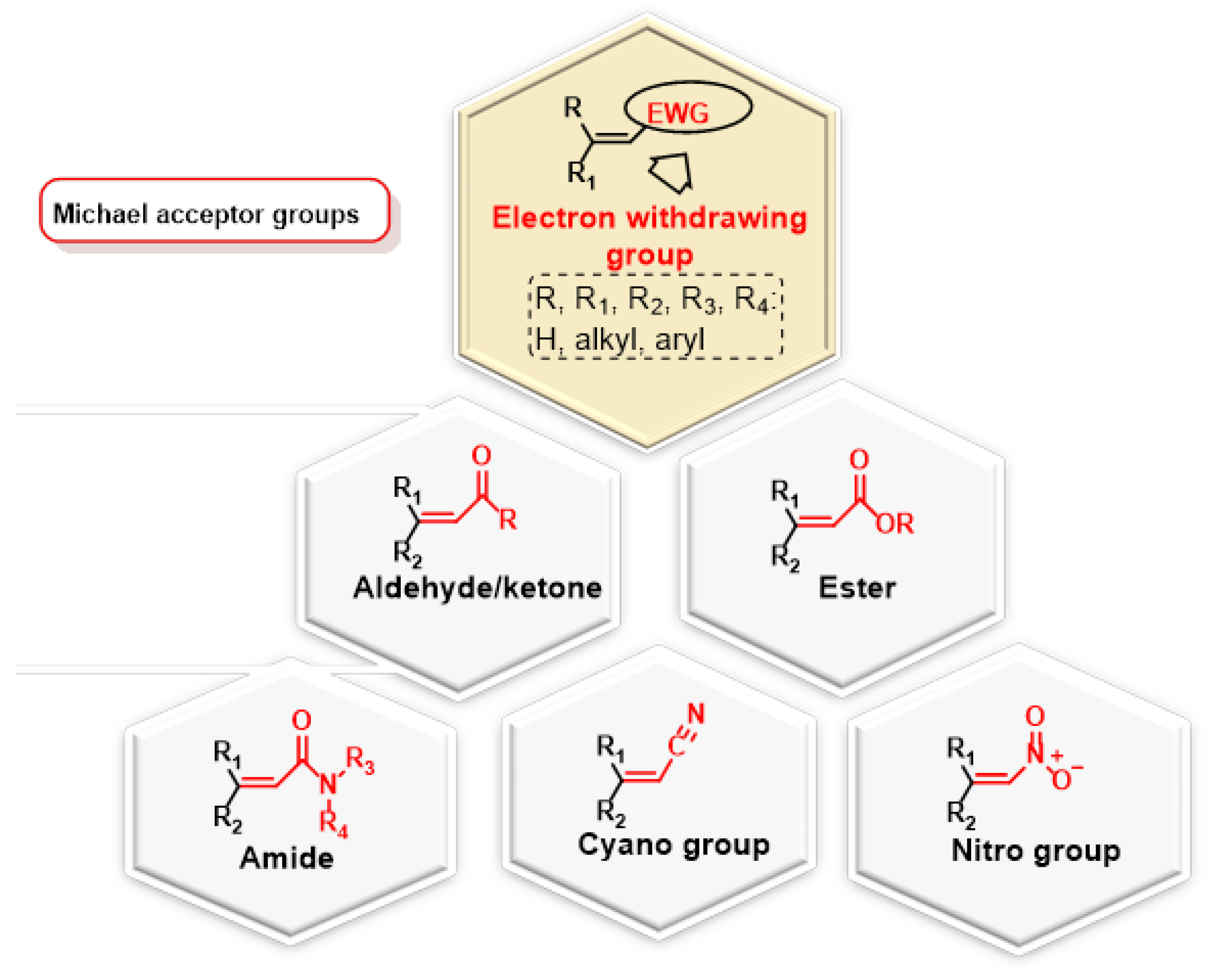 Ijms 25 06099 g002 Ijms 25 06099 g002