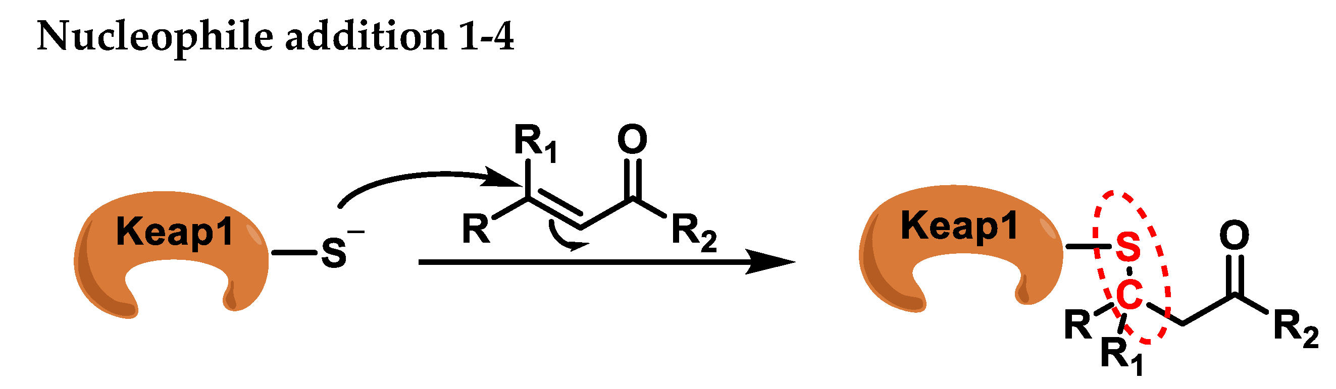 Ijms 25 06099 g004 Ijms 25 06099 g004