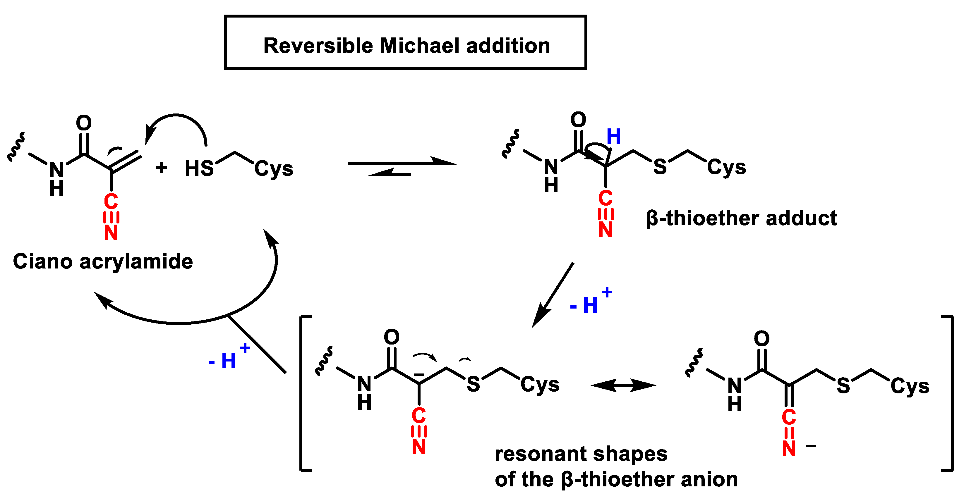 Ijms 25 06099 g006 Ijms 25 06099 g006