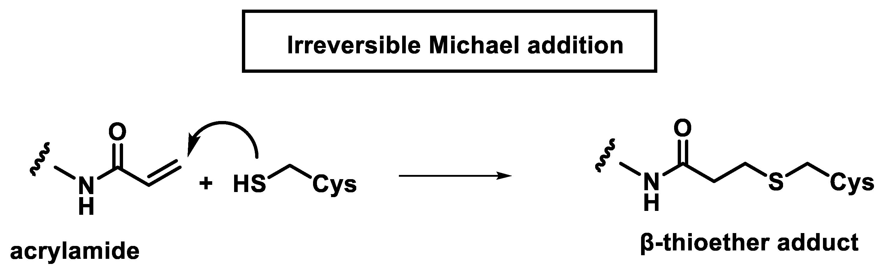 Ijms 25 06099 g007 Ijms 25 06099 g007