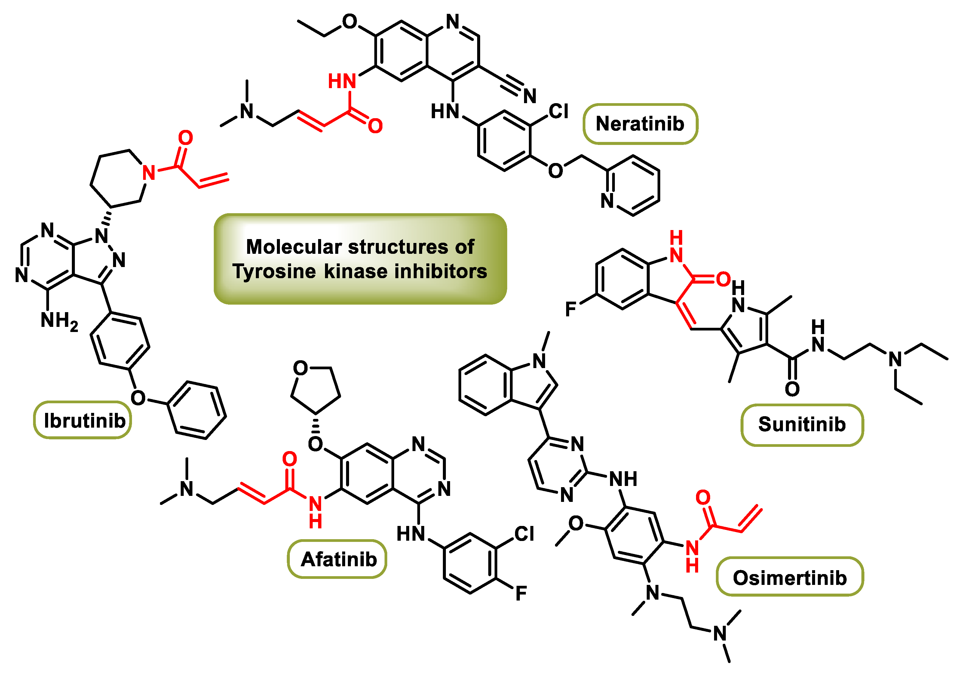 Ijms 25 06099 g008 Ijms 25 06099 g008