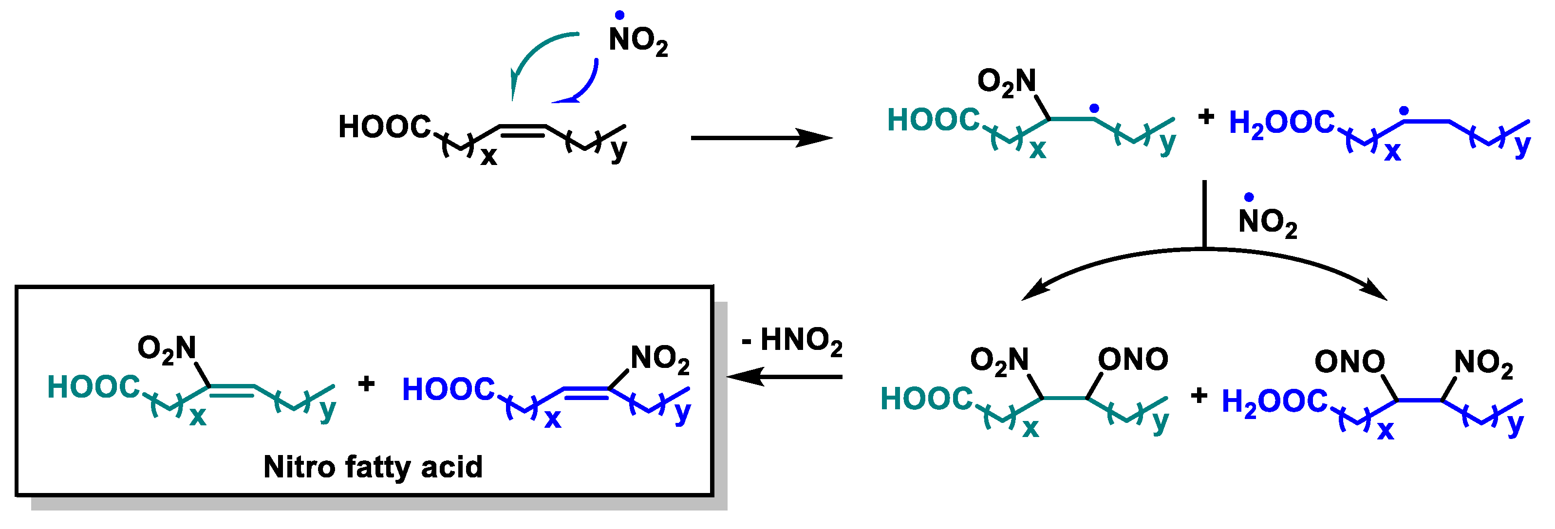 Ijms 25 06099 g012 Ijms 25 06099 g012