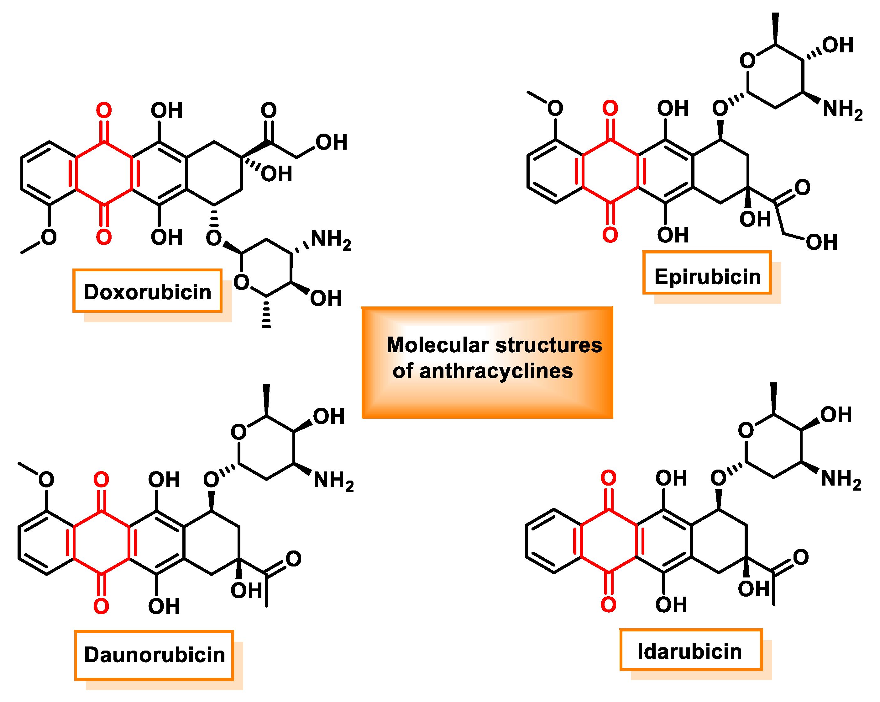 Ijms 25 06099 g014 Ijms 25 06099 g014