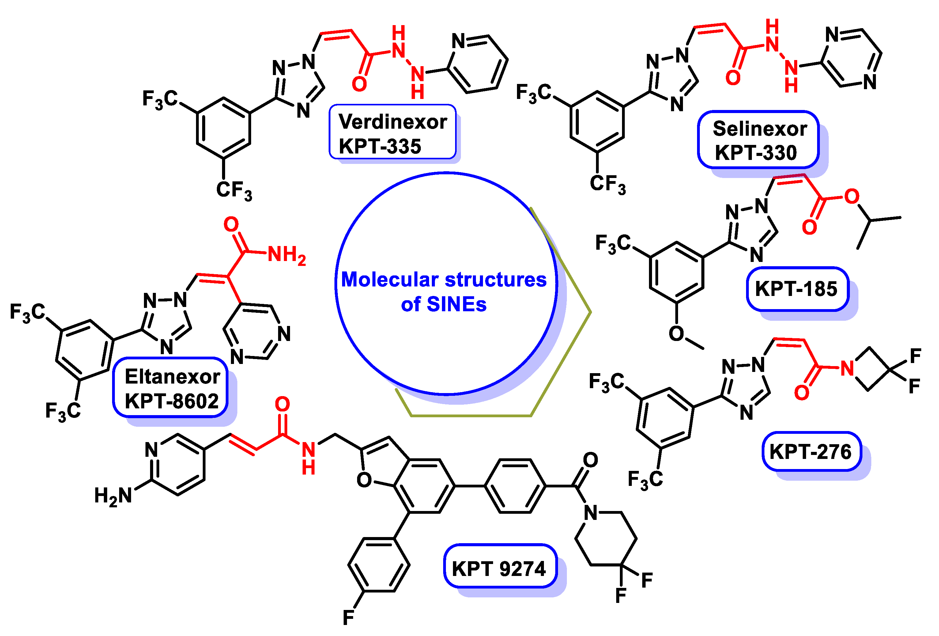 Ijms 25 06099 g015 Ijms 25 06099 g015