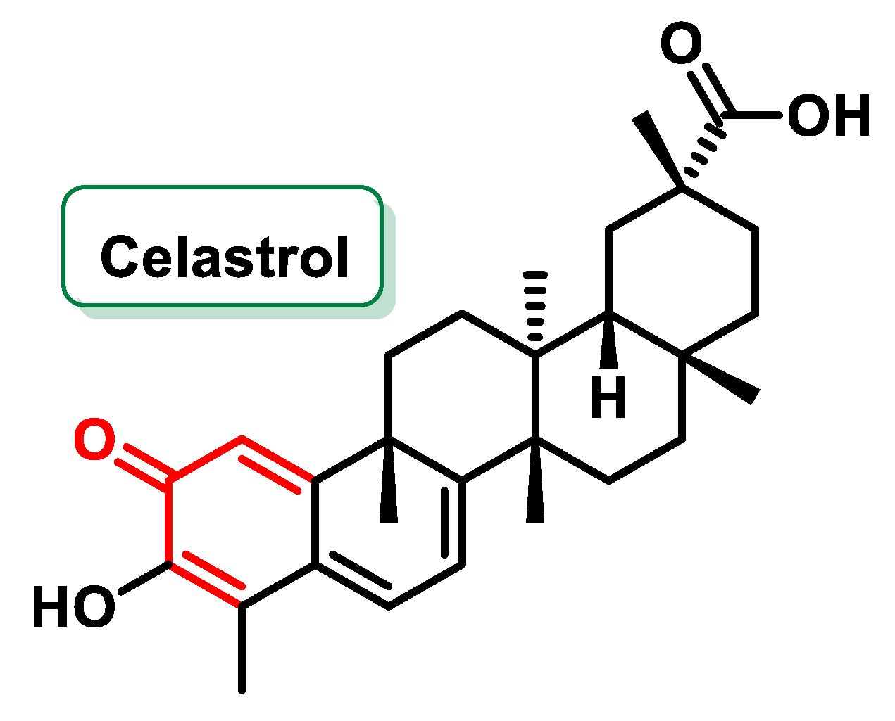 Ijms 25 06099 g020 Ijms 25 06099 g020