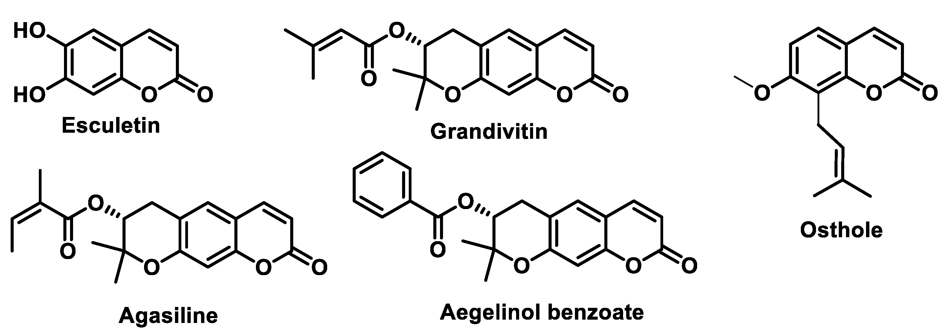 Ijms 25 06099 g039 Ijms 25 06099 g039