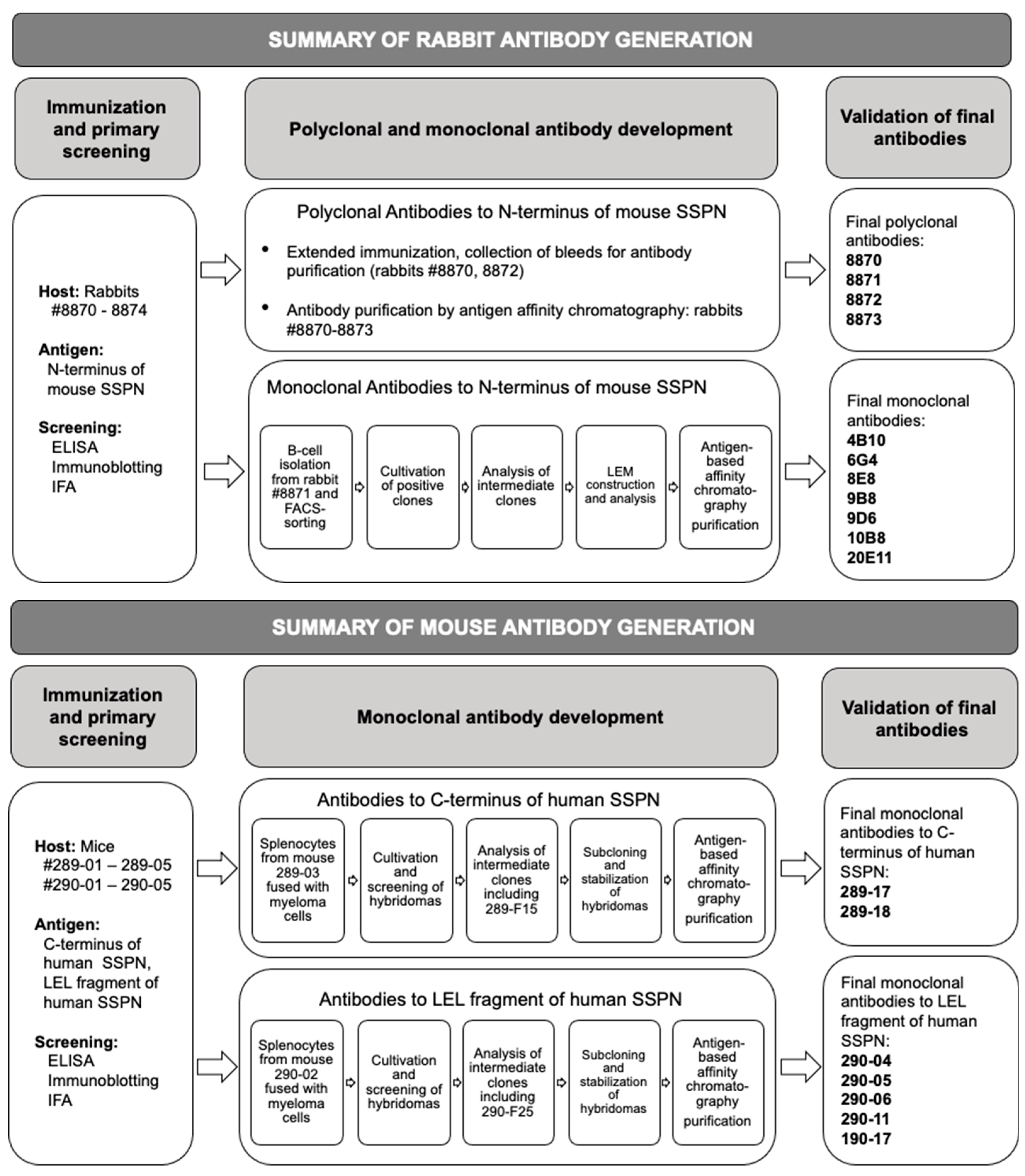 Ijms 25 06121 g009 Ijms 25 06121 g009