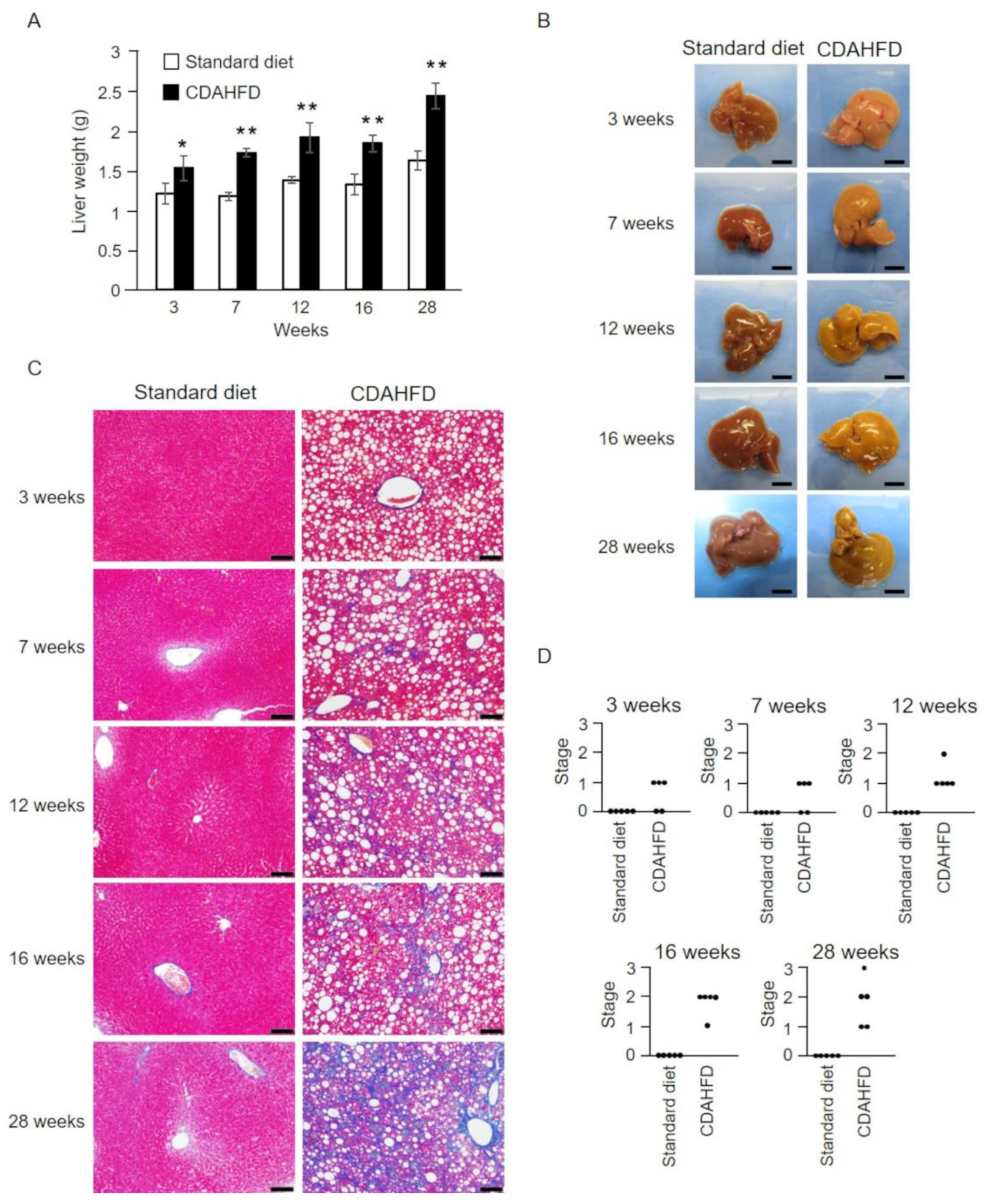 Ijms 25 06193 g002 Ijms 25 06193 g002