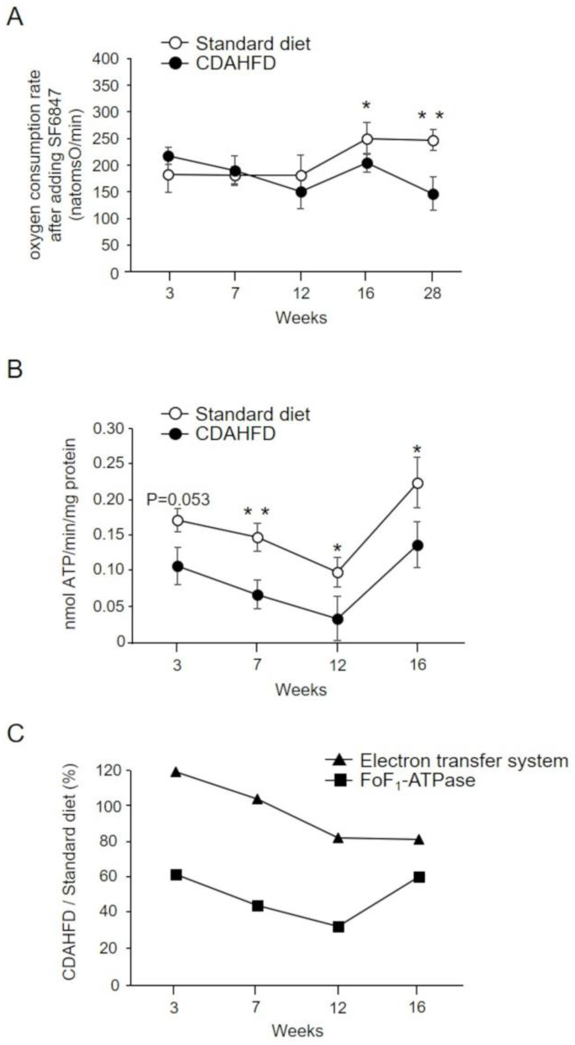 Ijms 25 06193 g004 Ijms 25 06193 g004