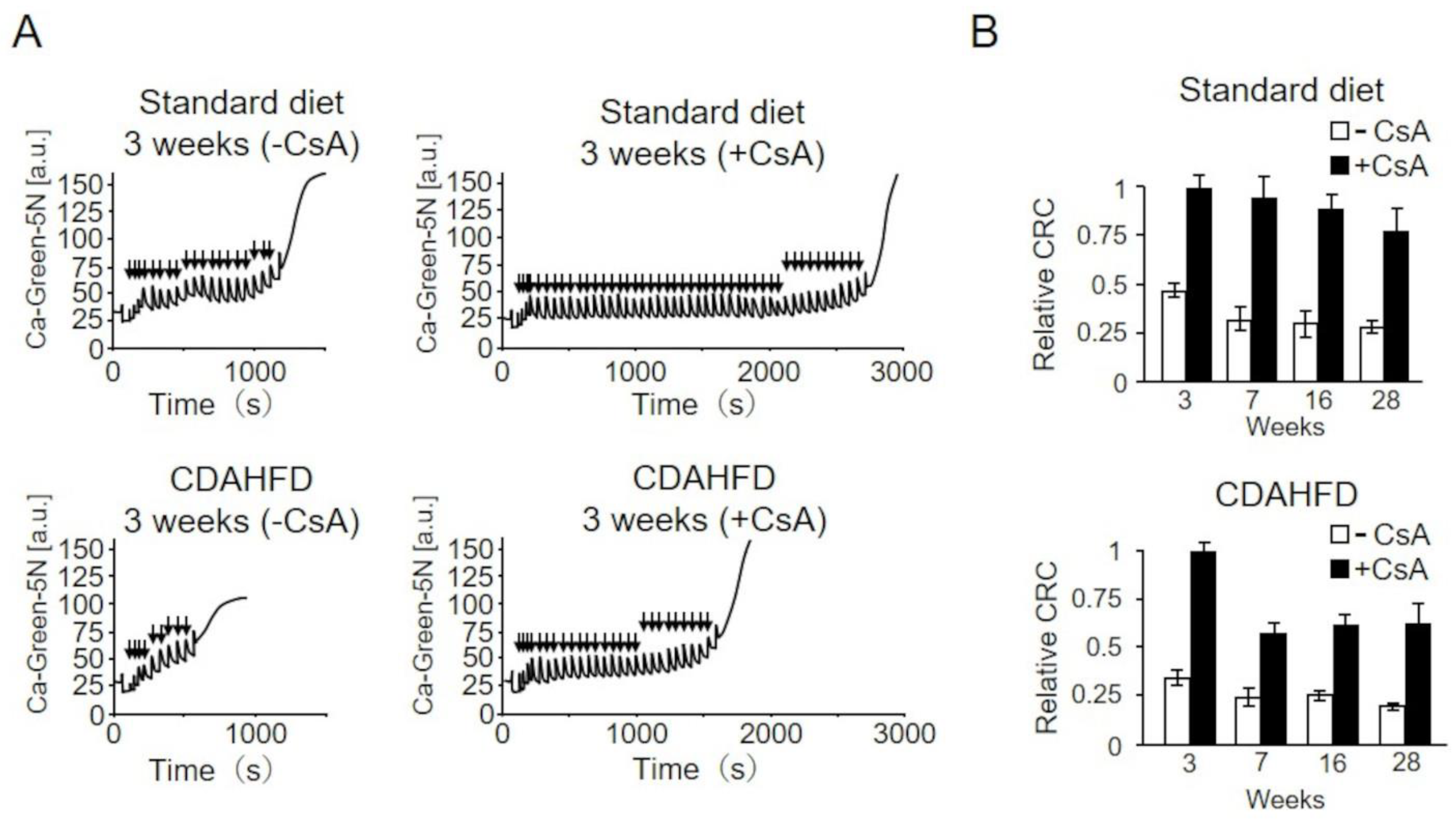 Ijms 25 06193 g007 Ijms 25 06193 g007