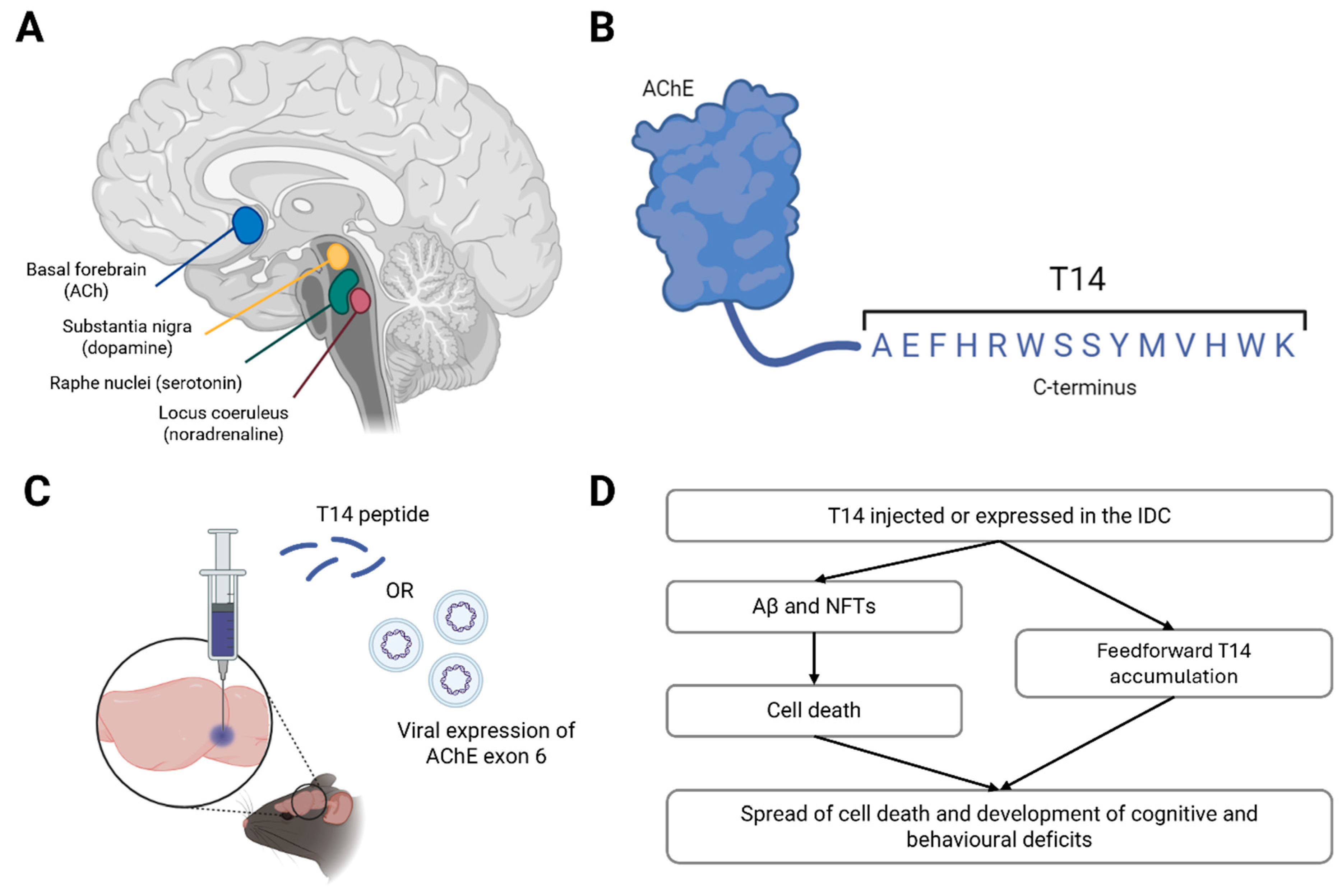 Ijms 25 06222 g001 Ijms 25 06222 g001