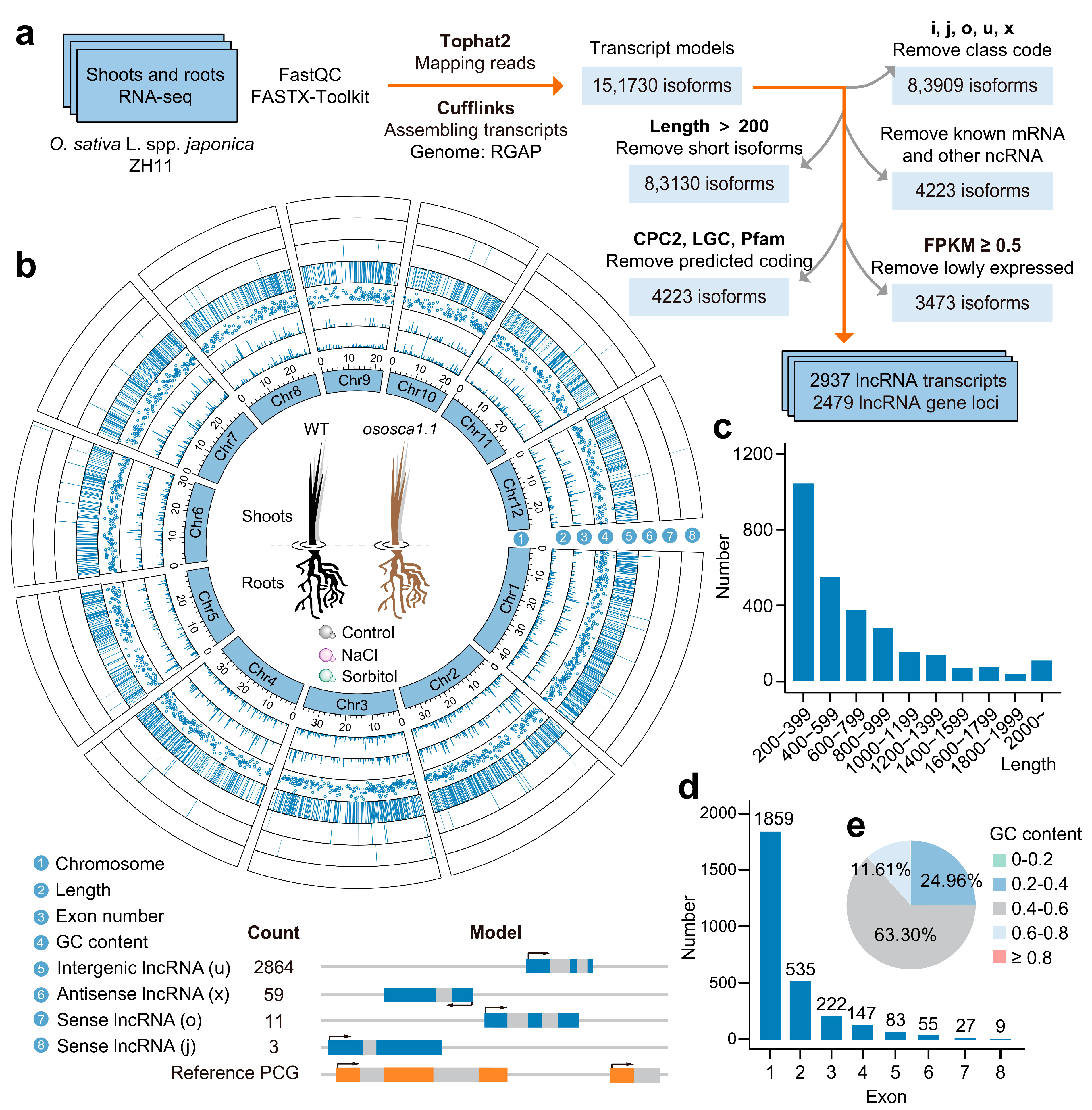 Ijms 25 06226 g001 Ijms 25 06226 g001