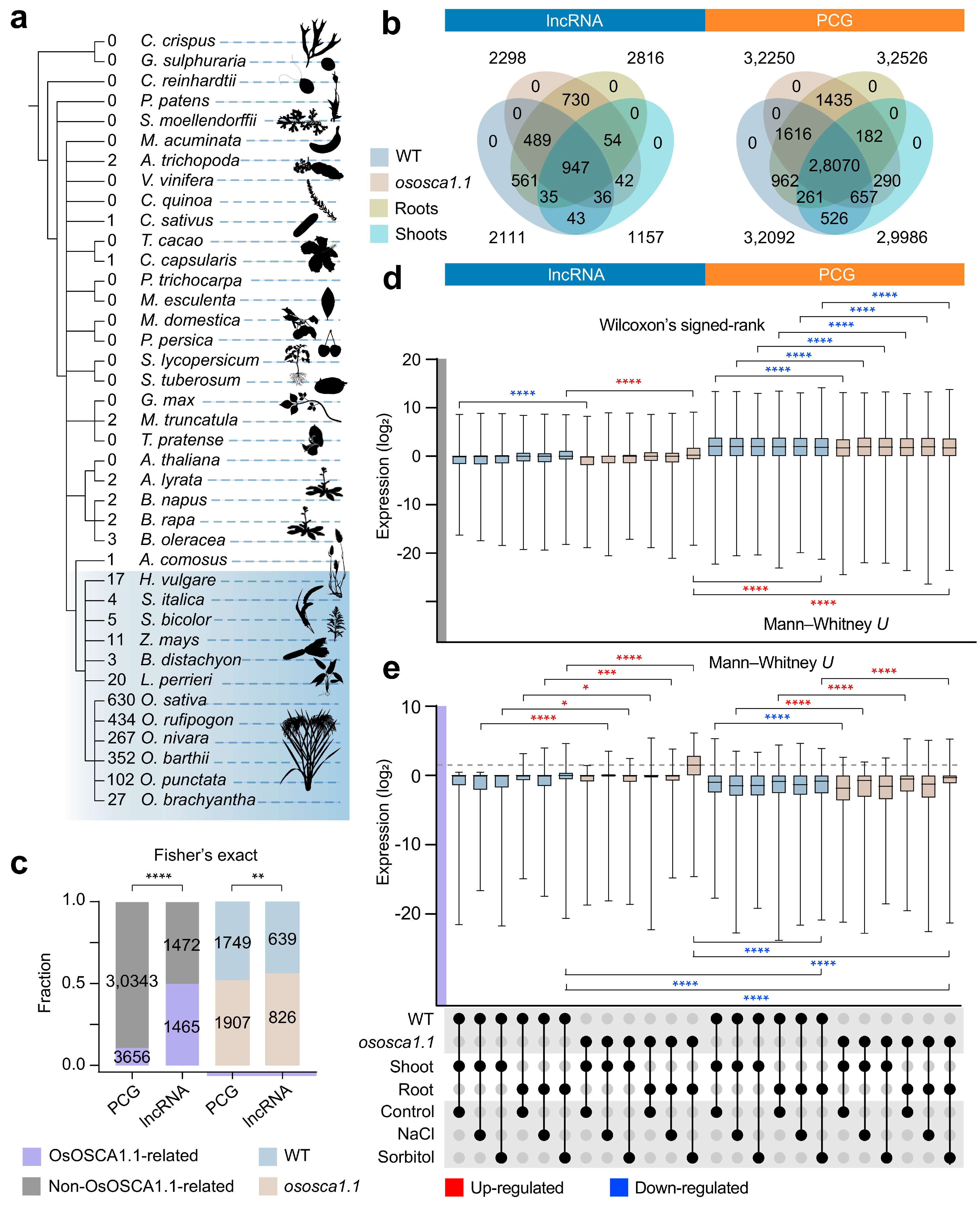 Ijms 25 06226 g002 Ijms 25 06226 g002