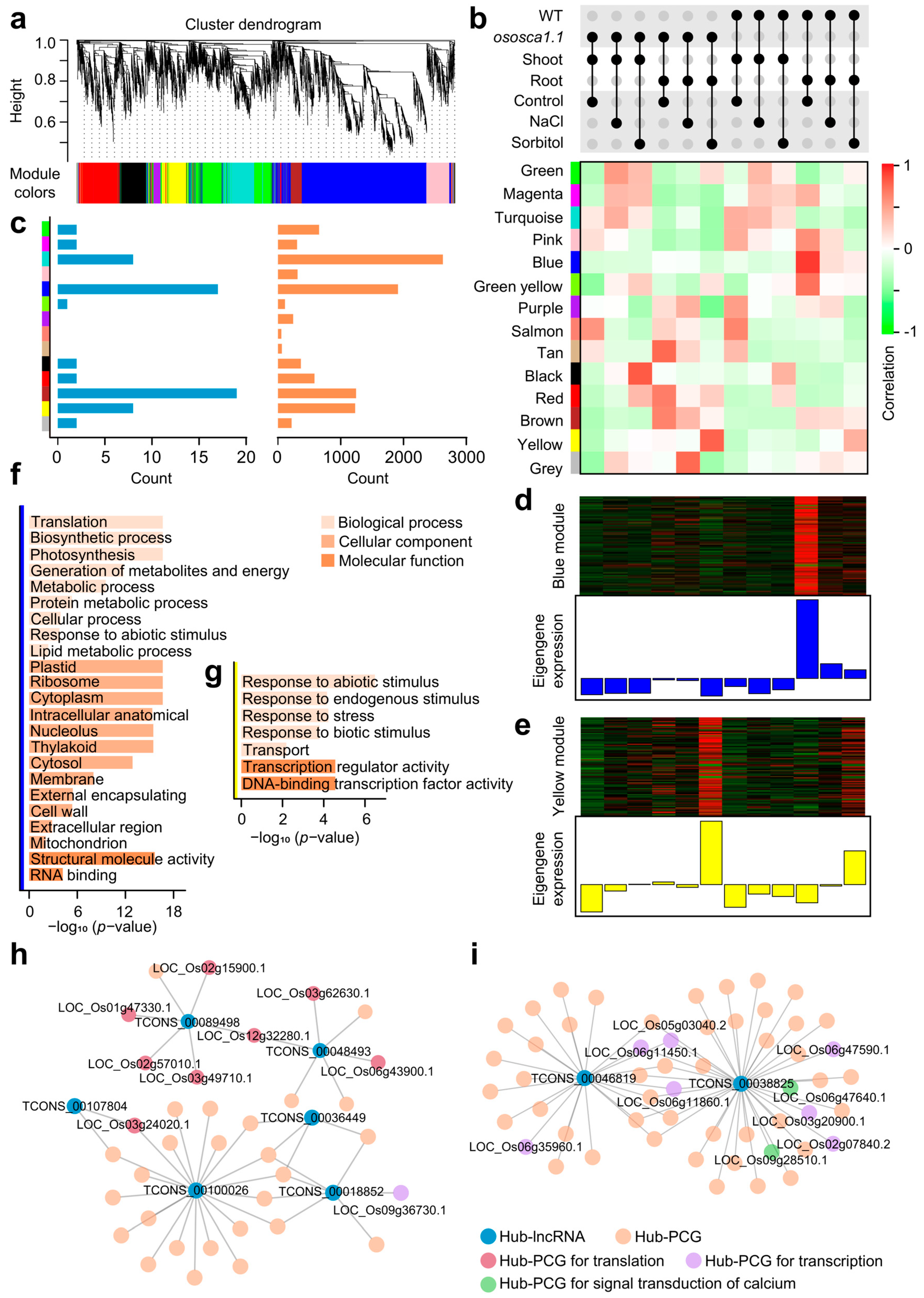 Ijms 25 06226 g003 Ijms 25 06226 g003