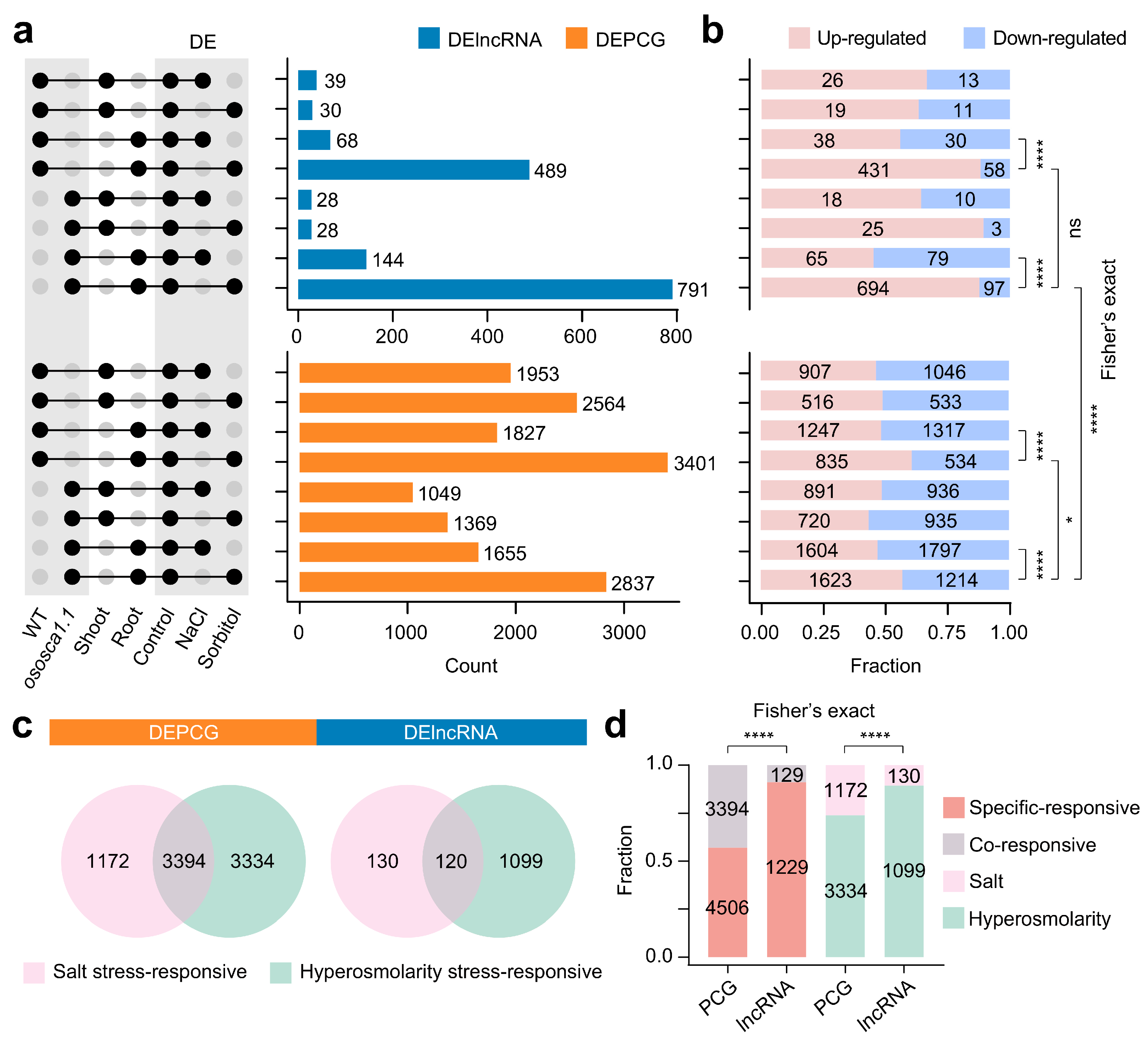 Ijms 25 06226 g004 Ijms 25 06226 g004