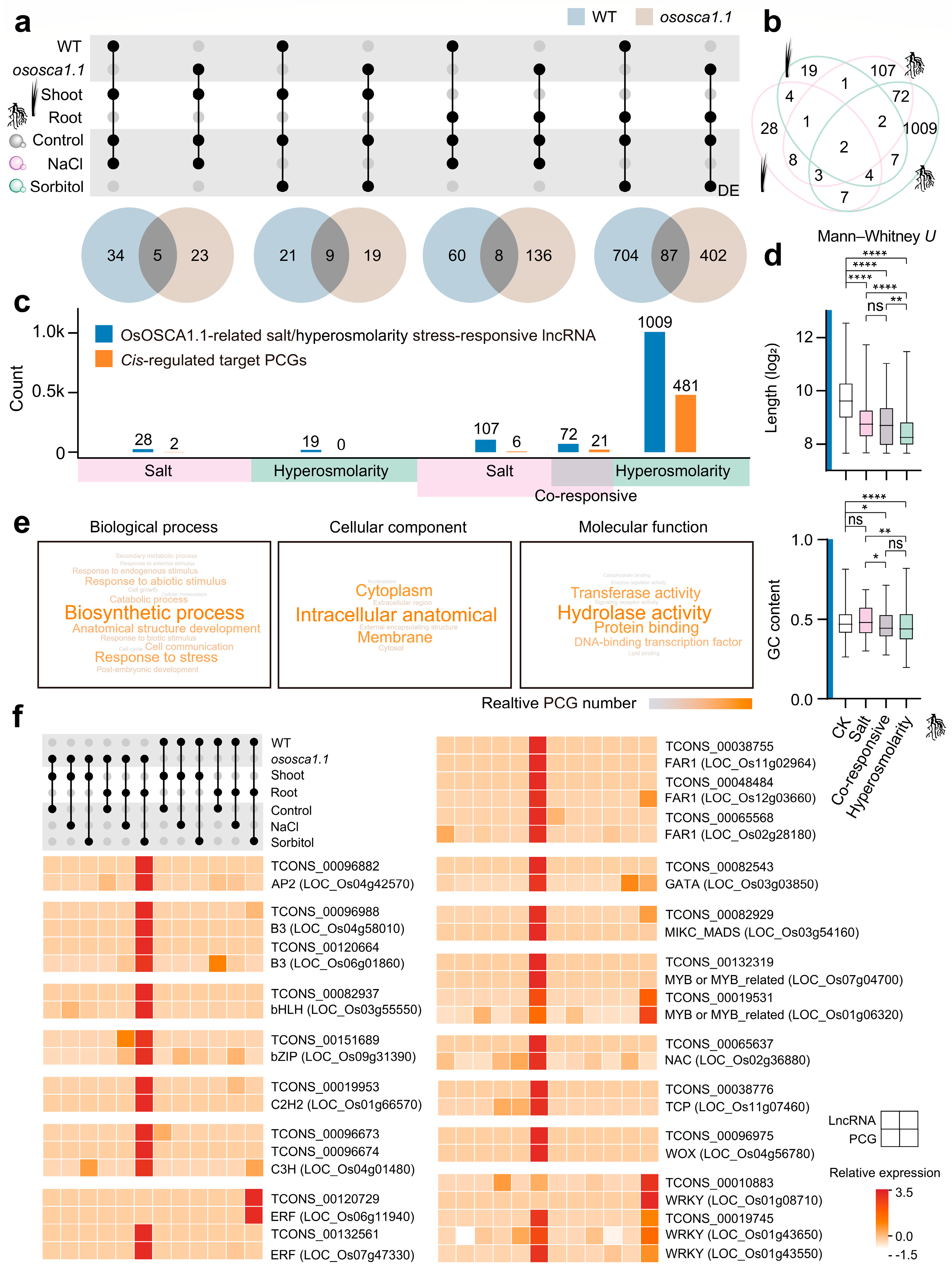 Ijms 25 06226 g005 Ijms 25 06226 g005