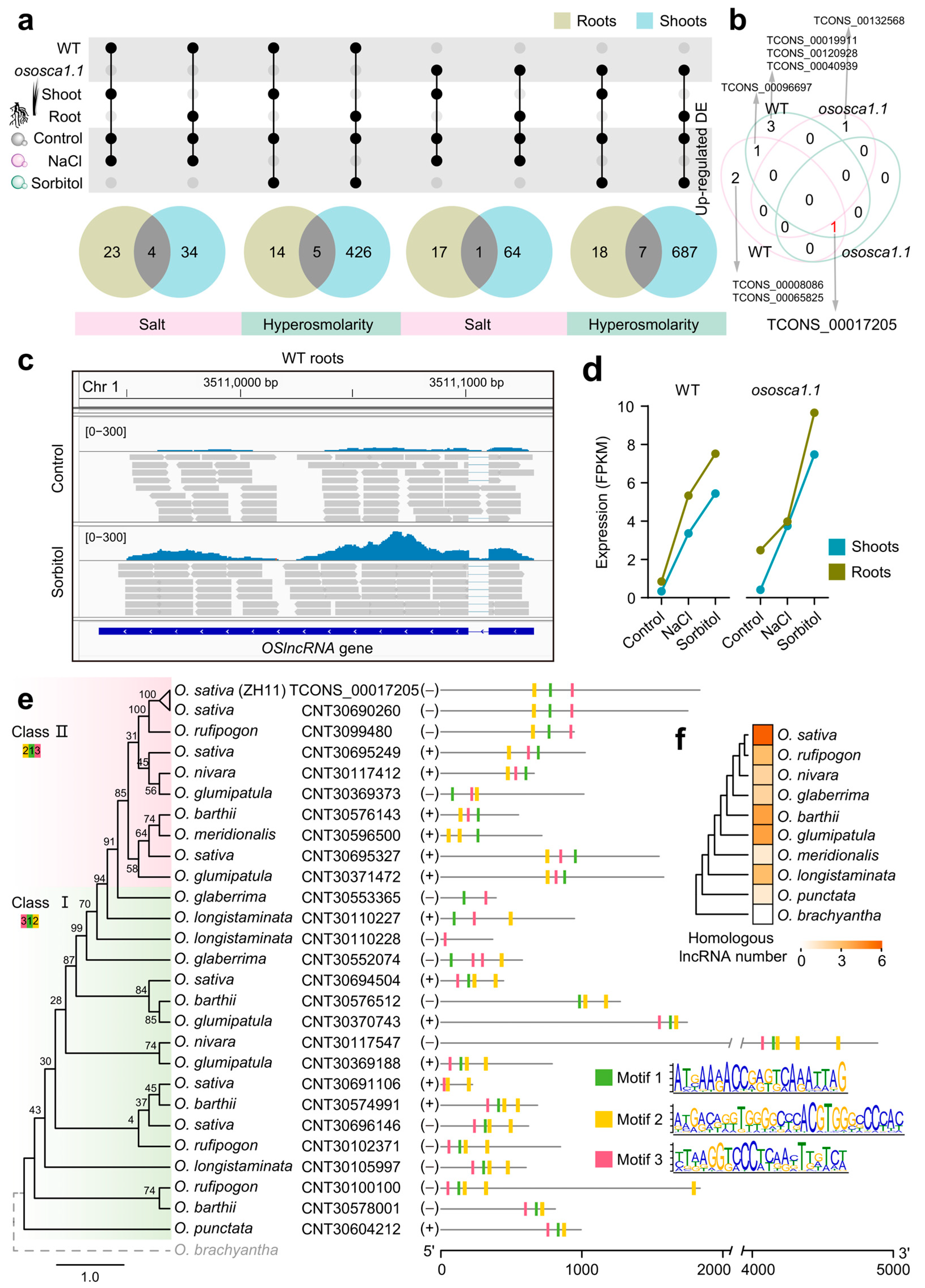 Ijms 25 06226 g006 Ijms 25 06226 g006