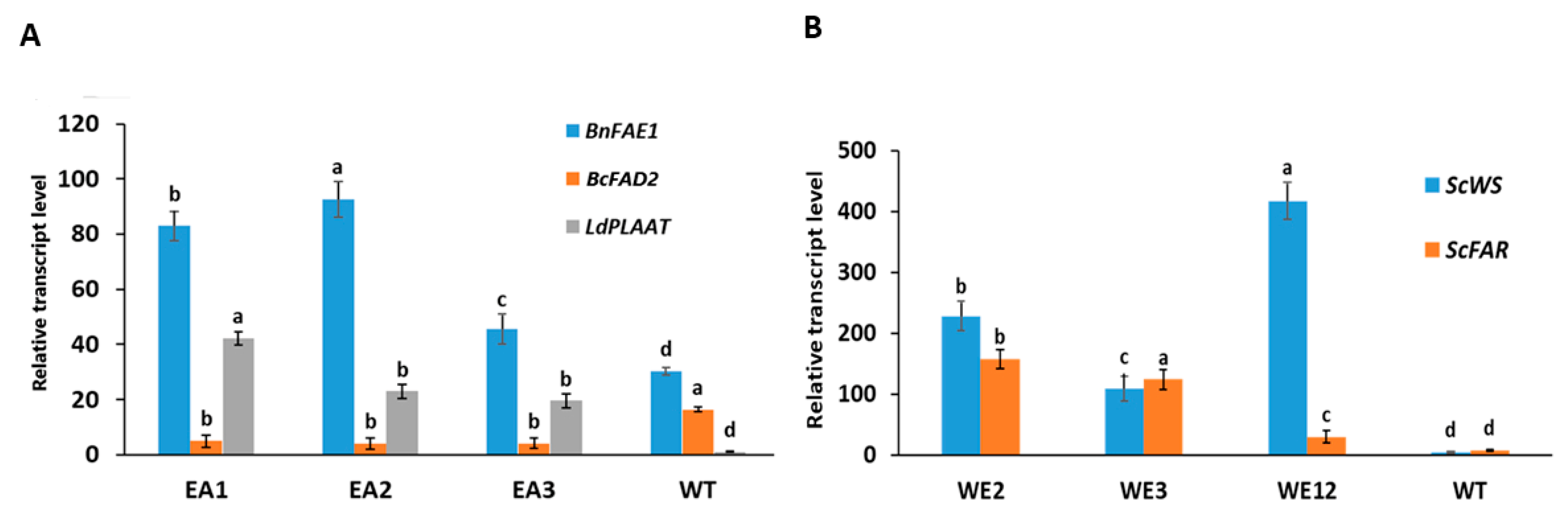 Ijms 25 06322 g003 Ijms 25 06322 g003