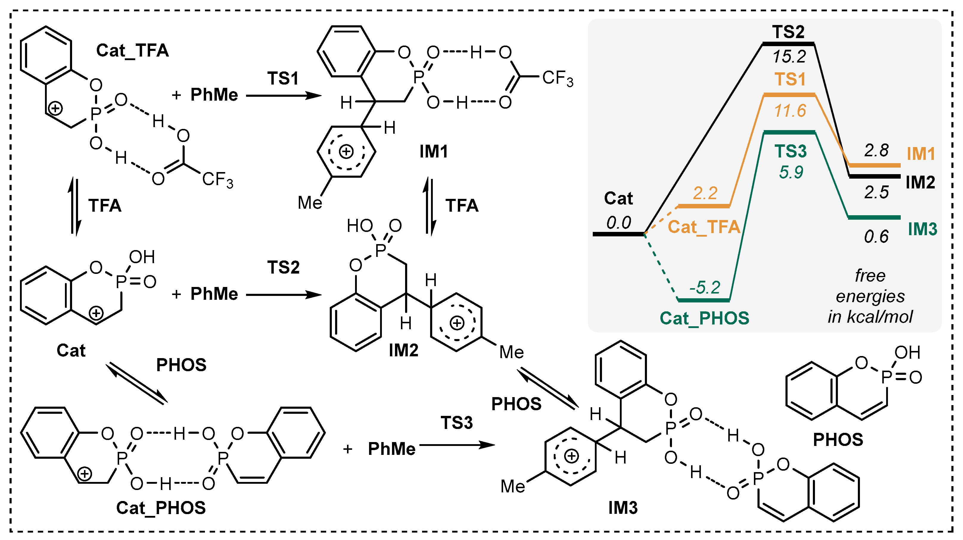 Ijms 25 06327 sch004