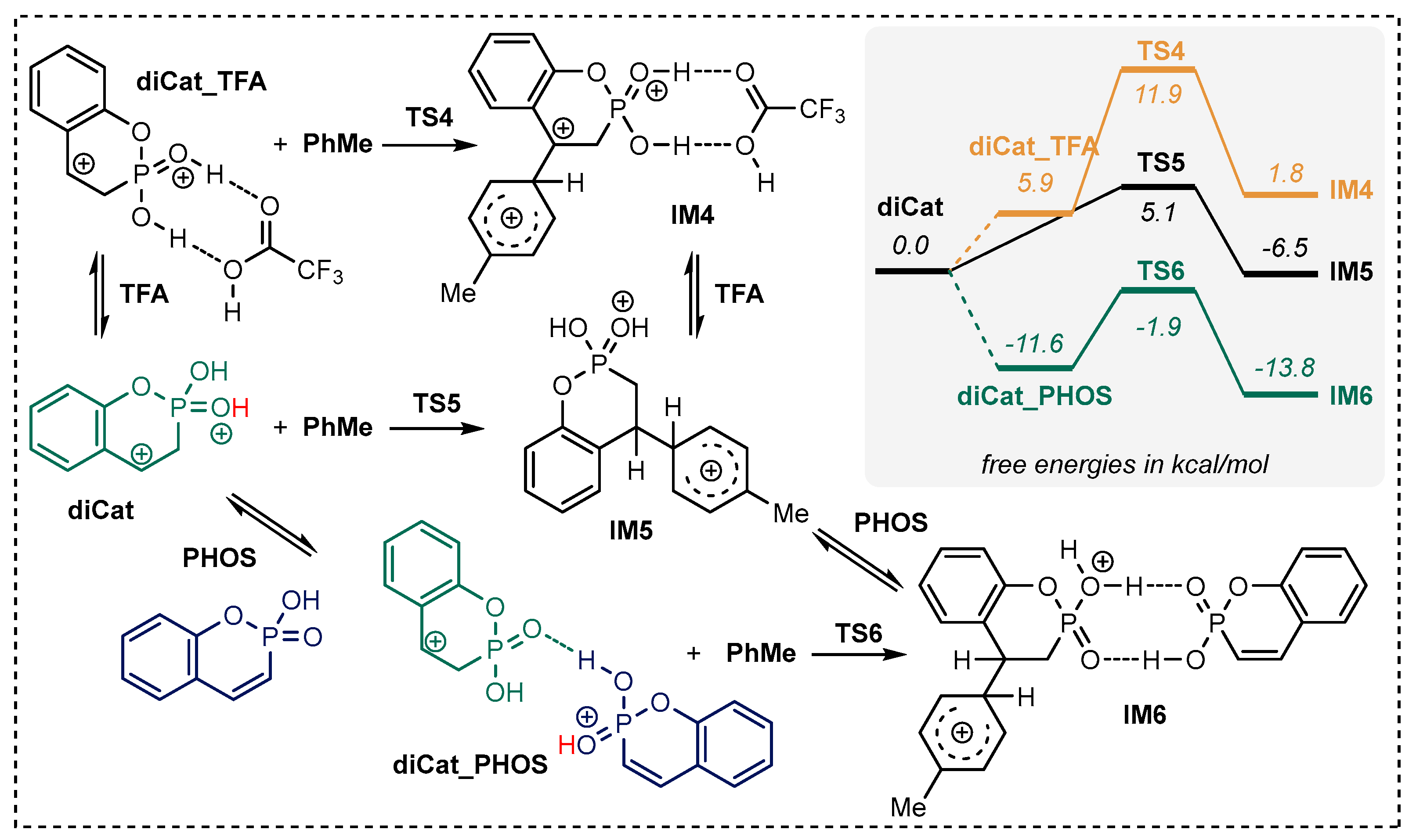 Ijms 25 06327 sch005