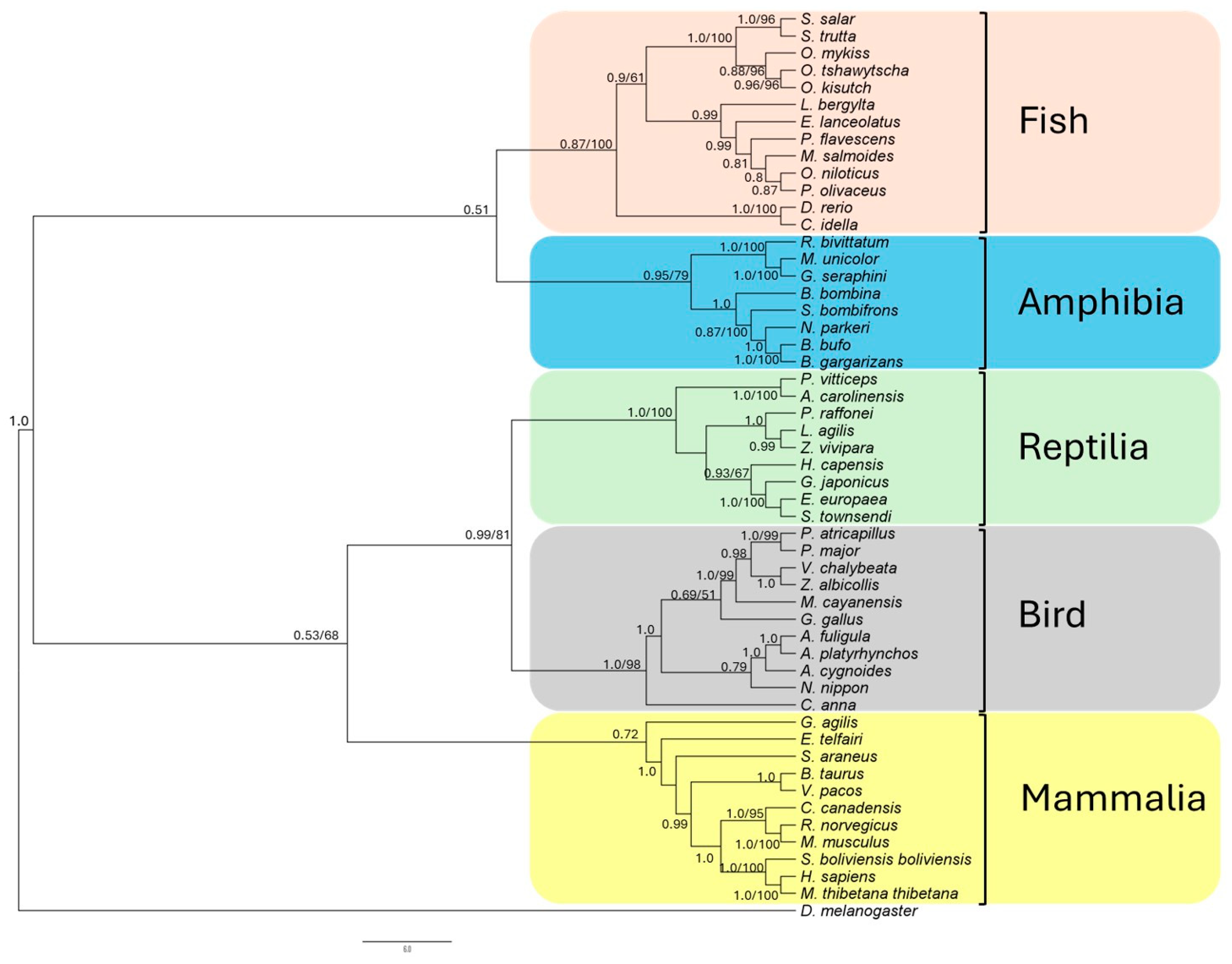 Ijms 25 06346 g003 Ijms 25 06346 g003