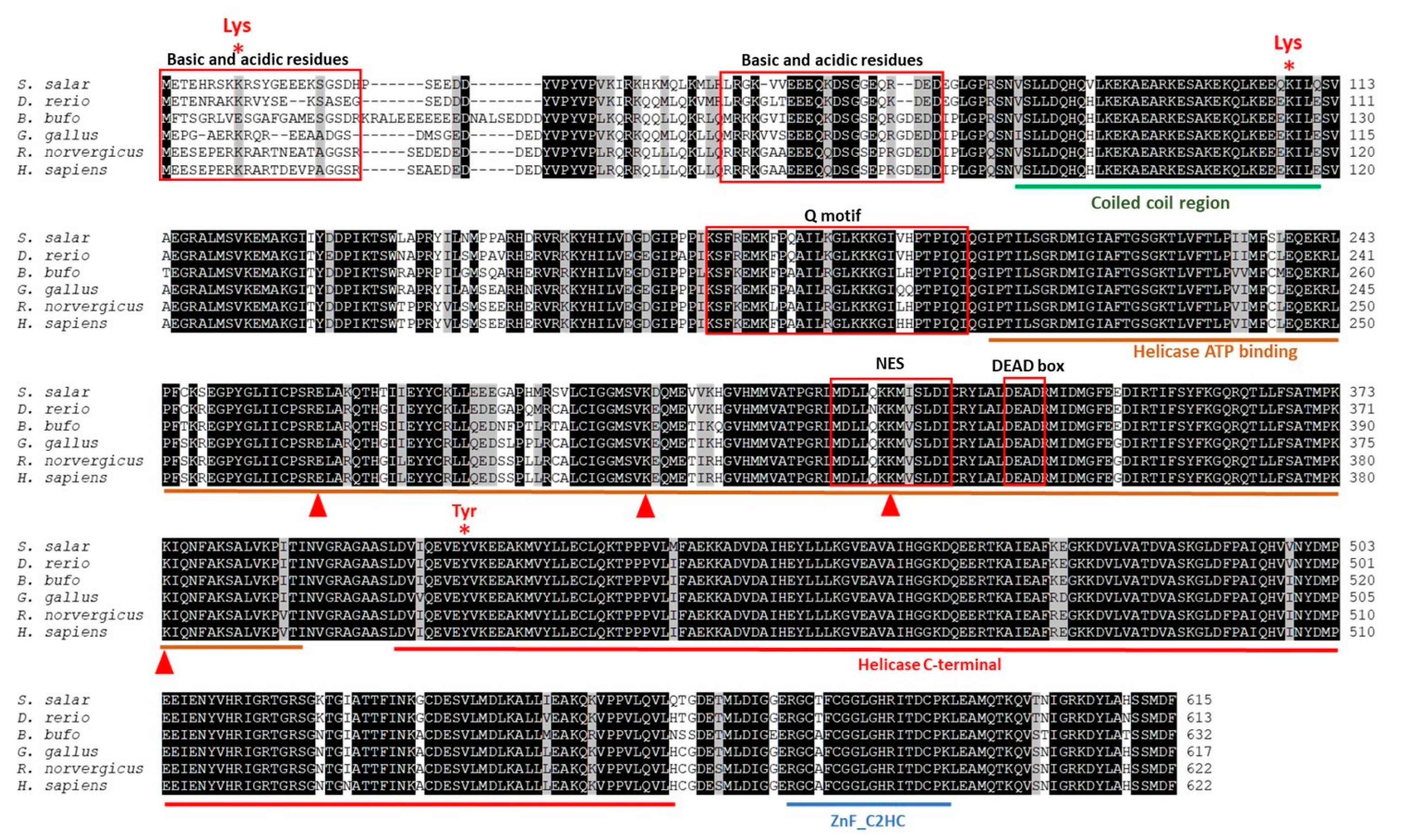 Ijms 25 06346 g004 Ijms 25 06346 g004