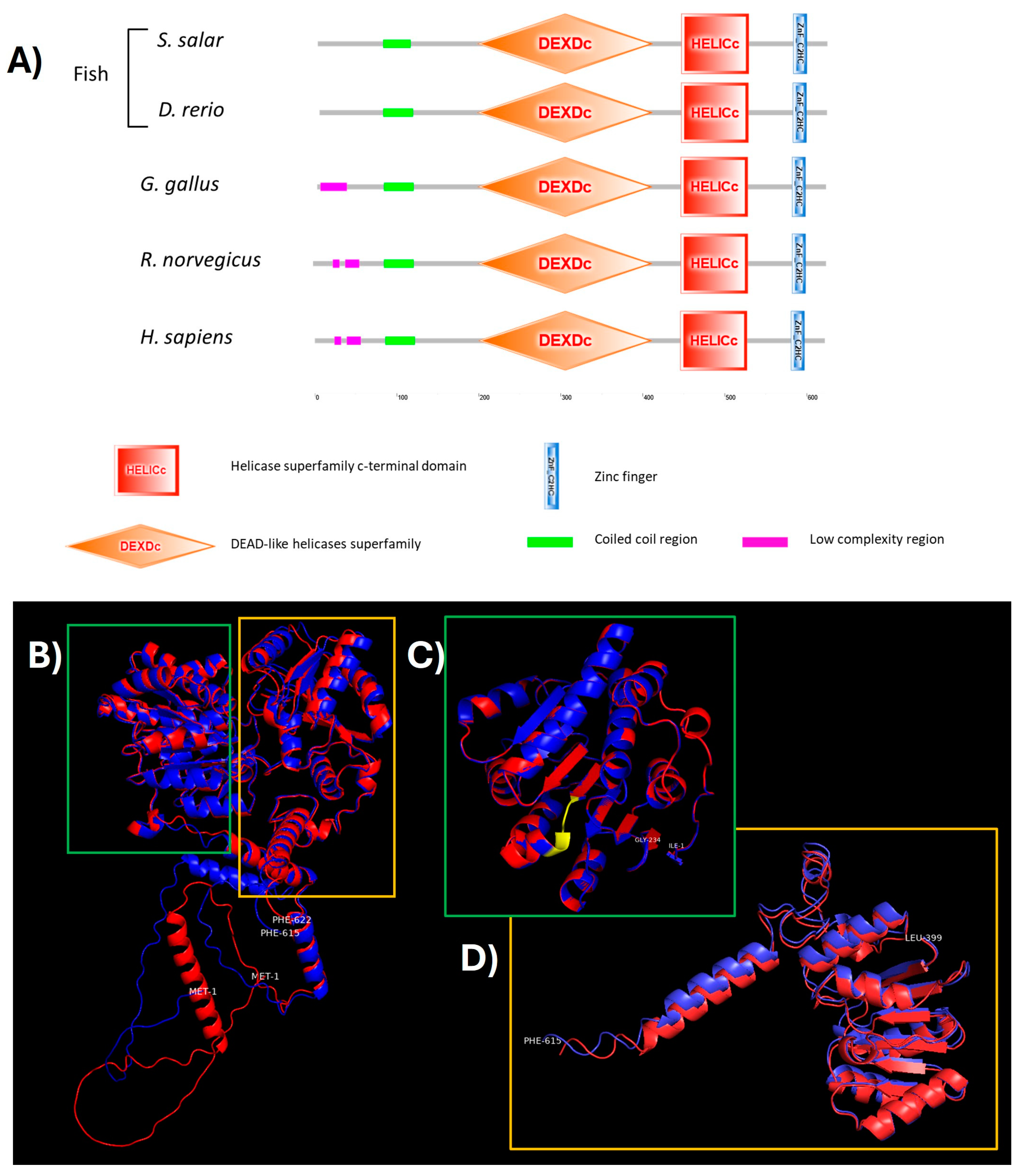 Ijms 25 06346 g005 Ijms 25 06346 g005