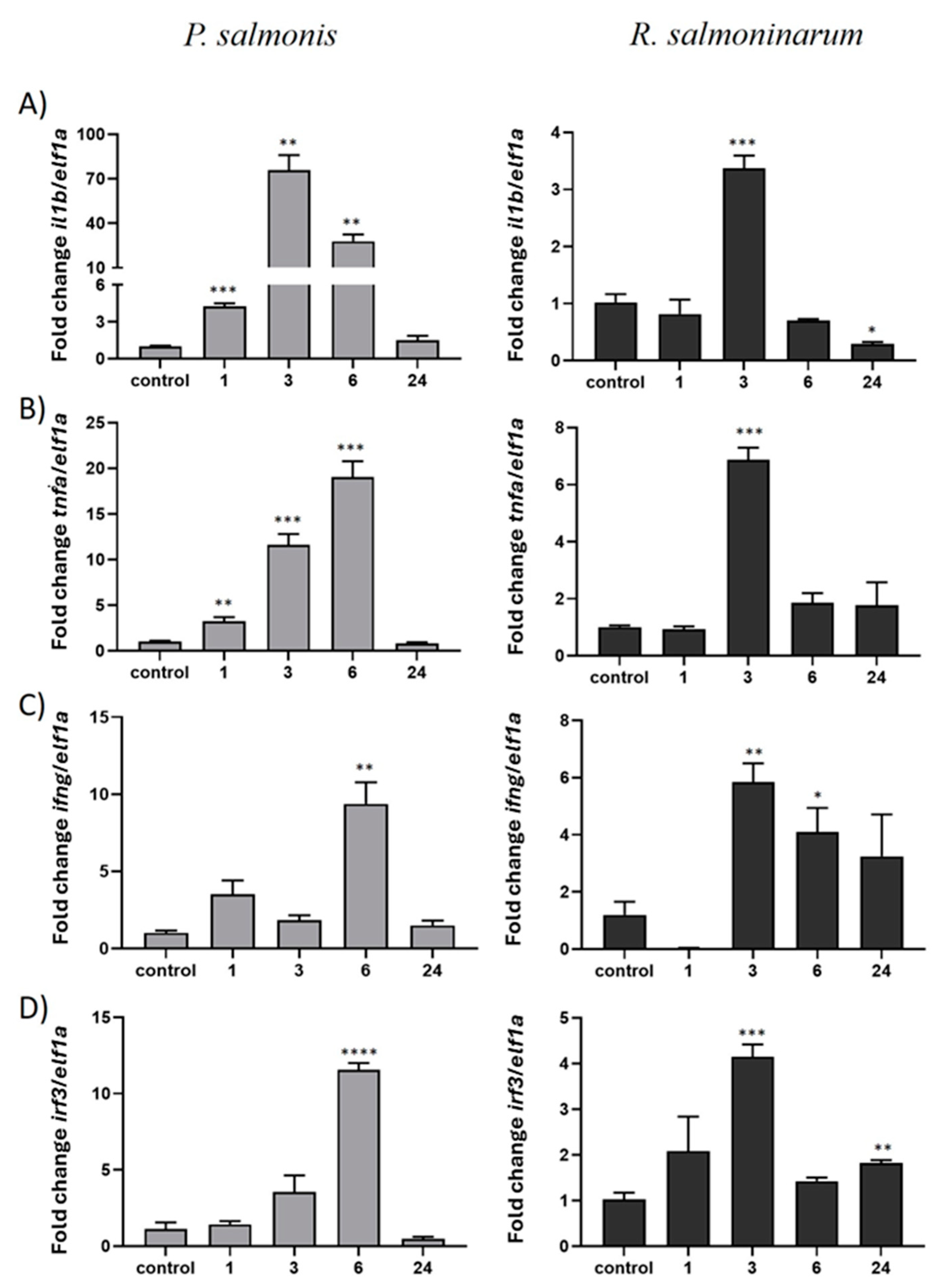 Ijms 25 06346 g007 Ijms 25 06346 g007