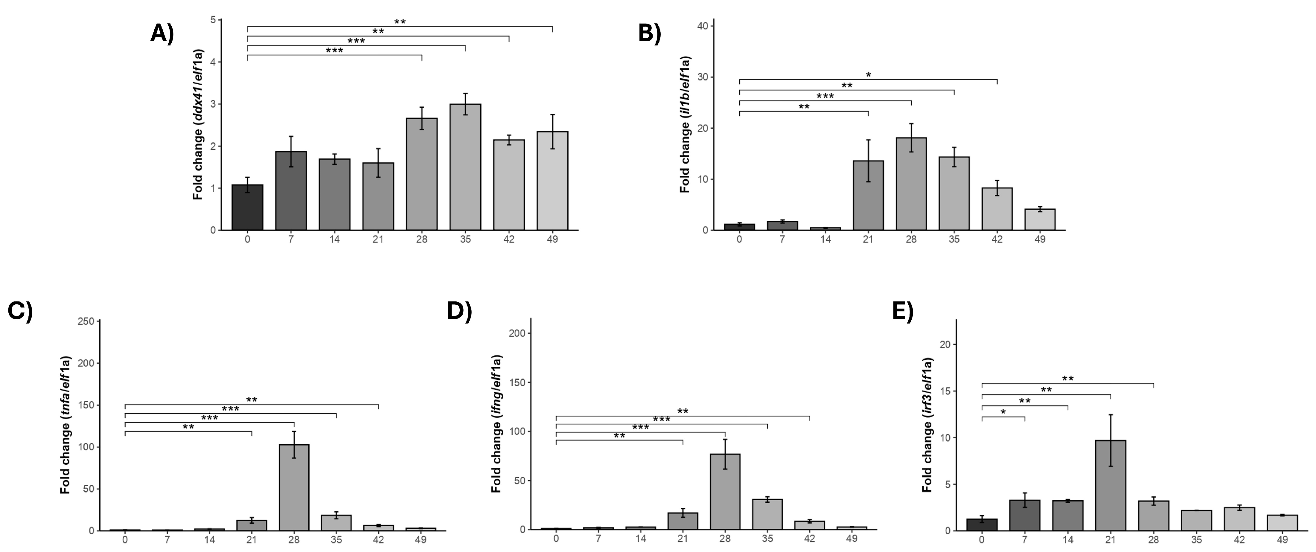 Ijms 25 06346 g008 Ijms 25 06346 g008