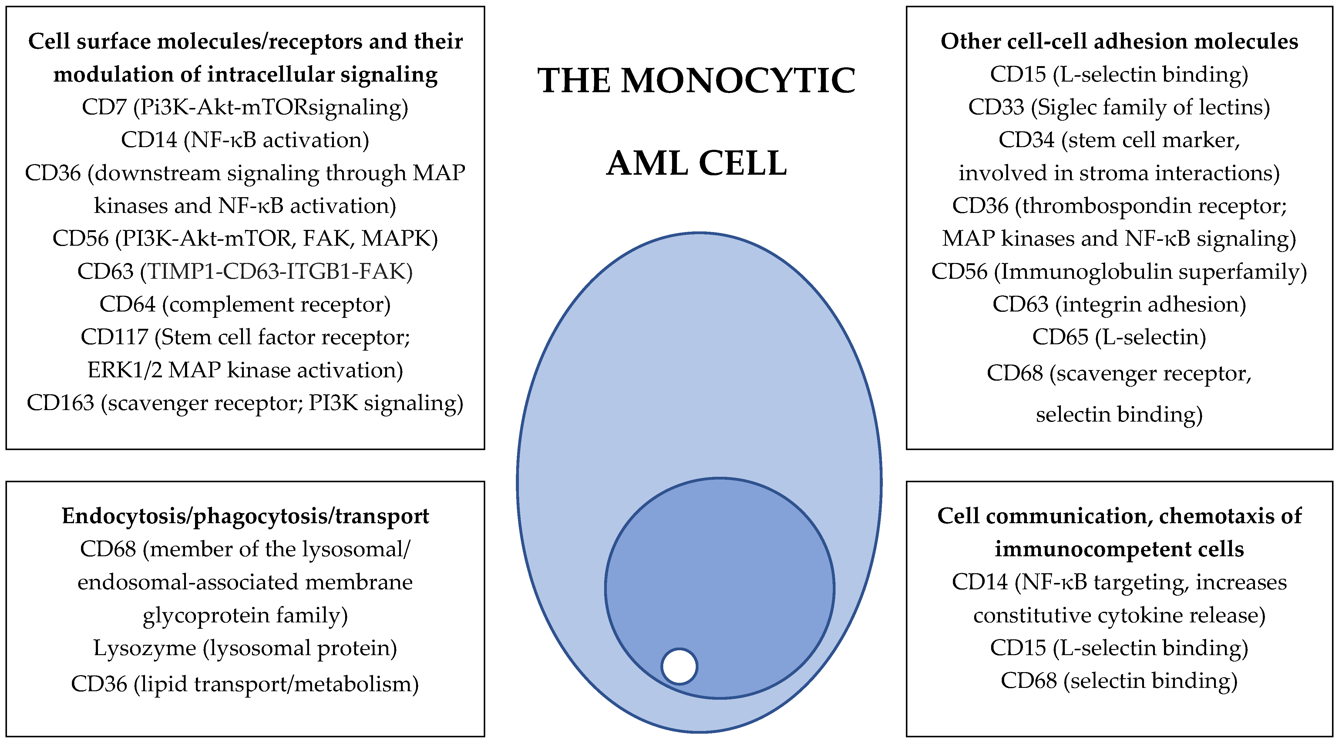 Ijms 25 06356 g001b Ijms 25 06356 g001b