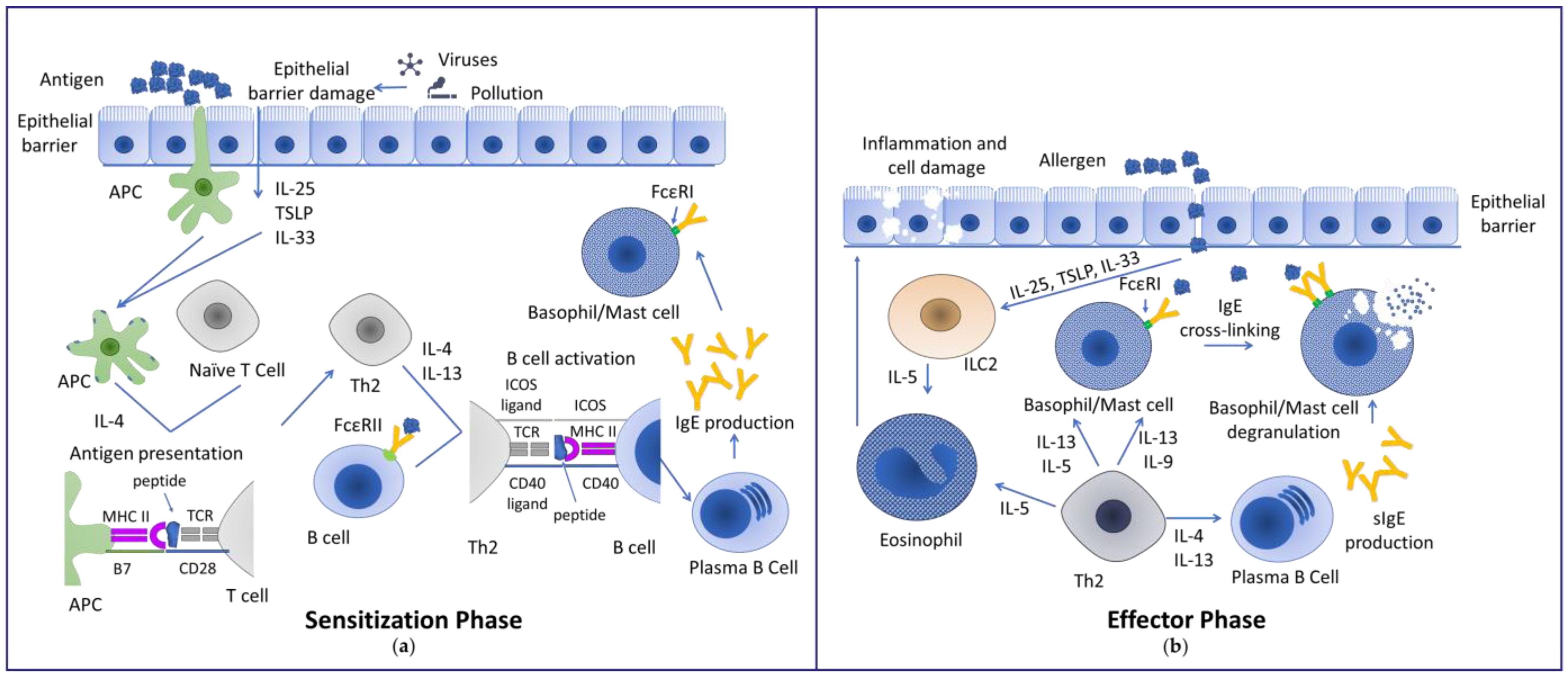 Ijms 25 06359 g001 Ijms 25 06359 g001