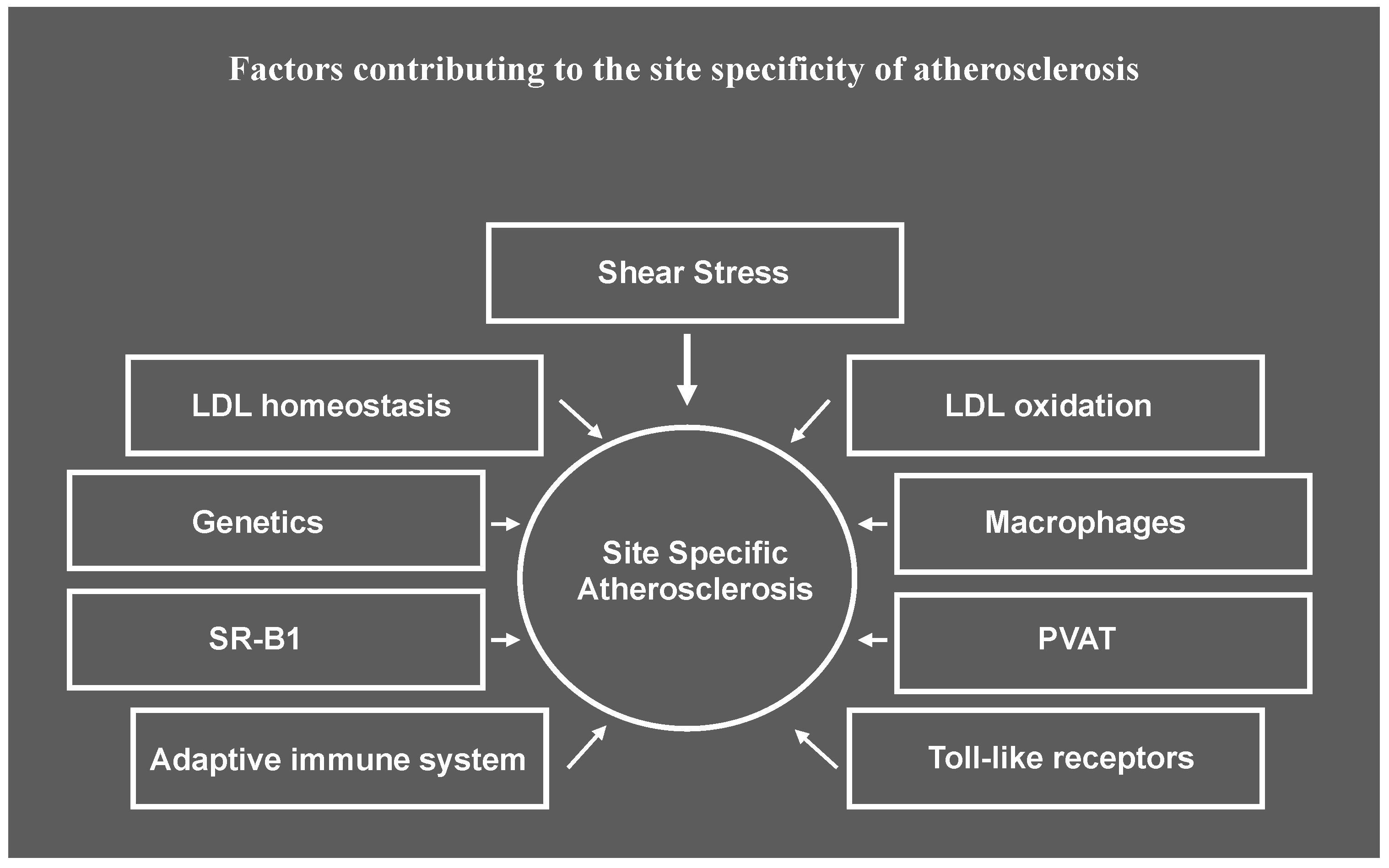 Ijms 25 06375 g001 Ijms 25 06375 g001