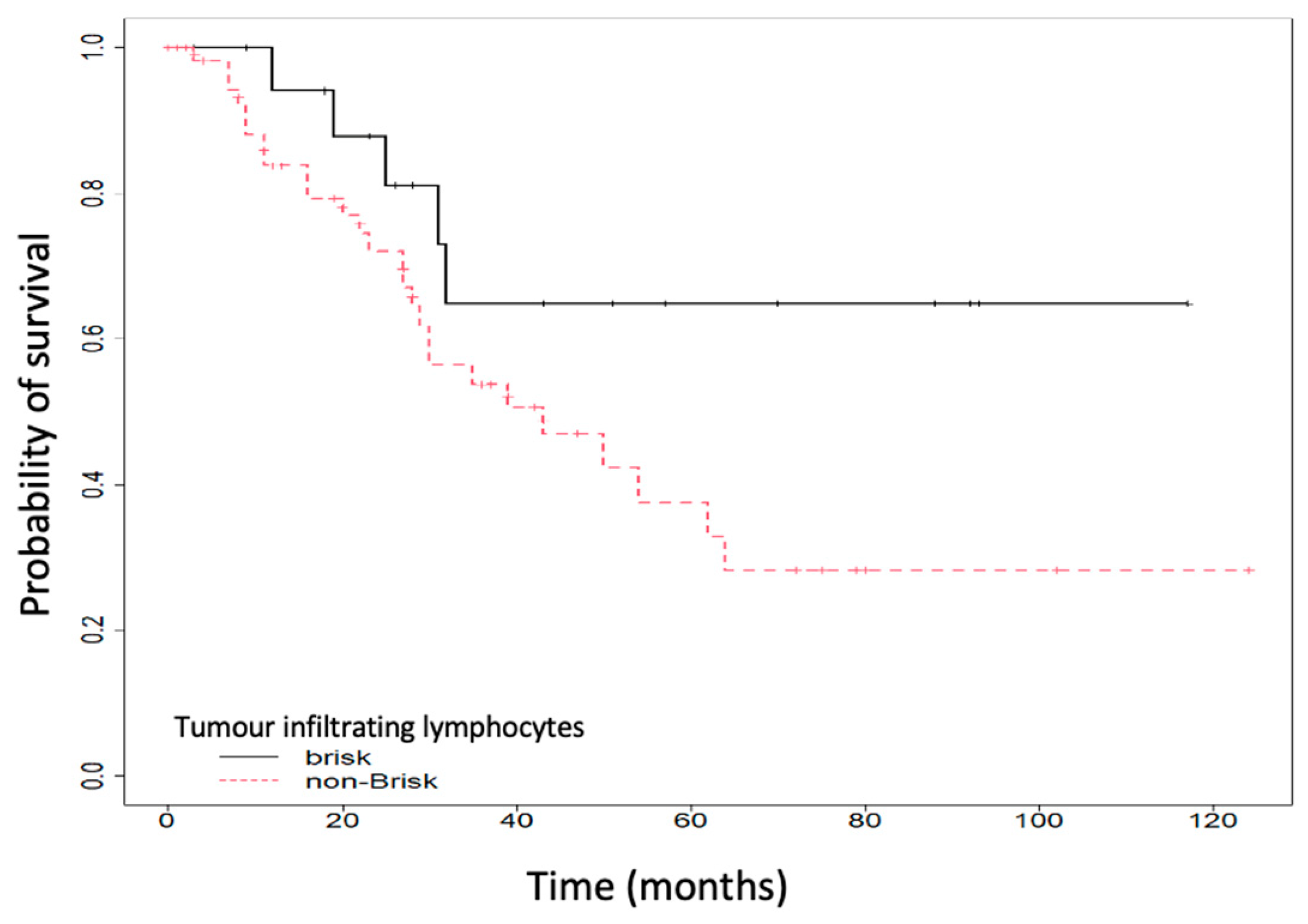 Ijms 25 06377 g001 Ijms 25 06377 g001