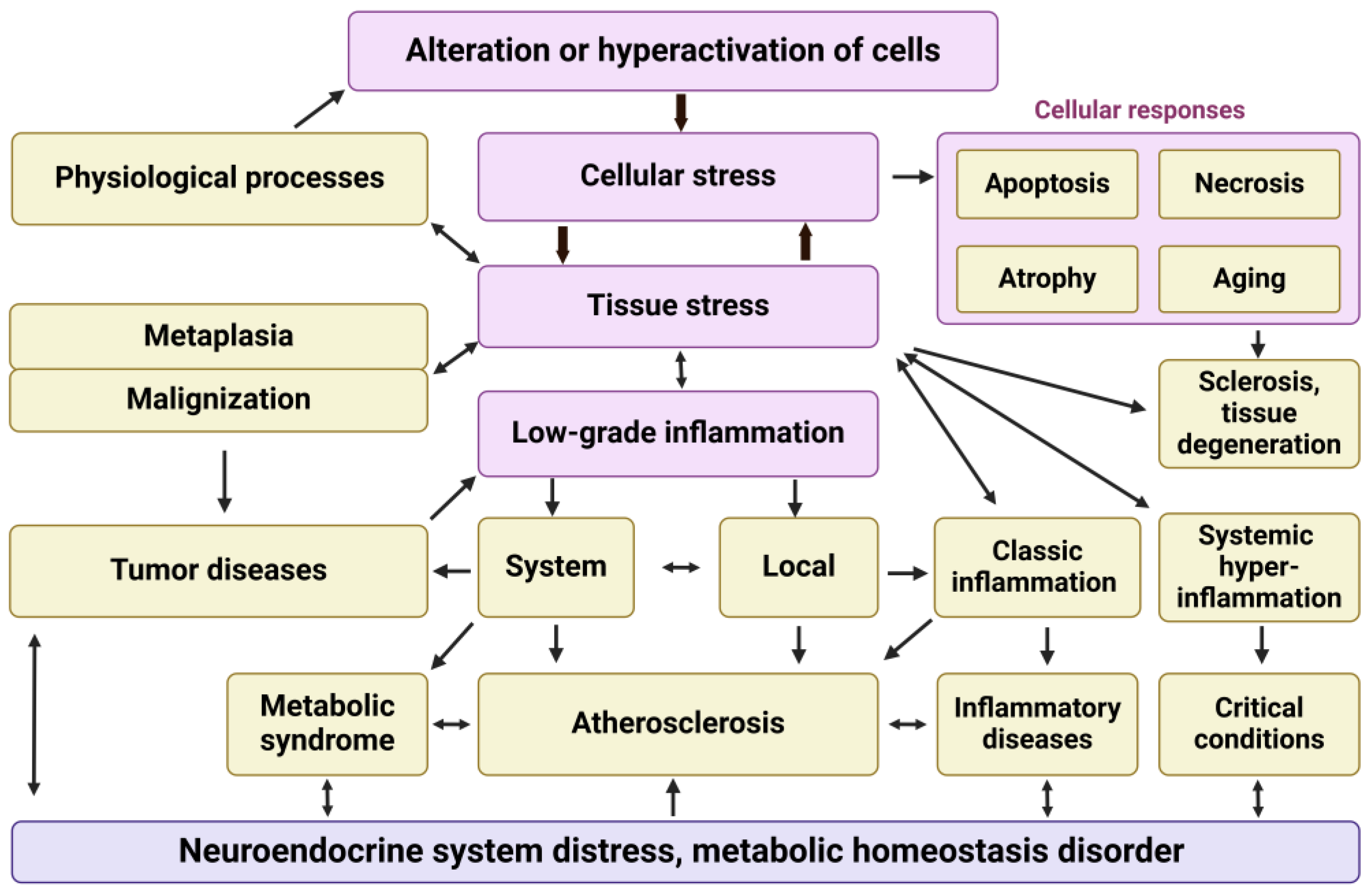 Ijms 25 06389 g001 Ijms 25 06389 g001