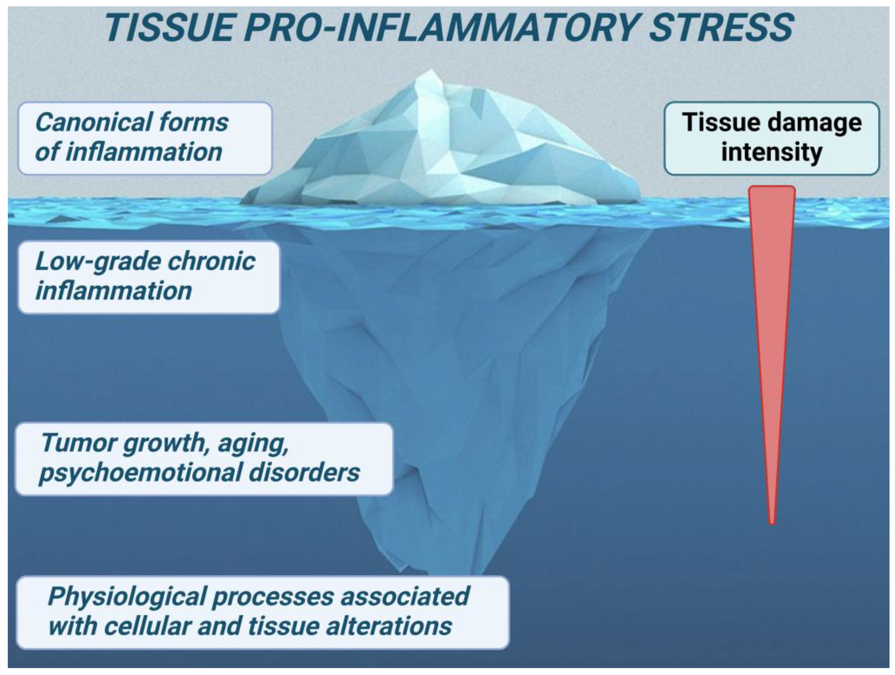 Ijms 25 06389 g003 Ijms 25 06389 g003