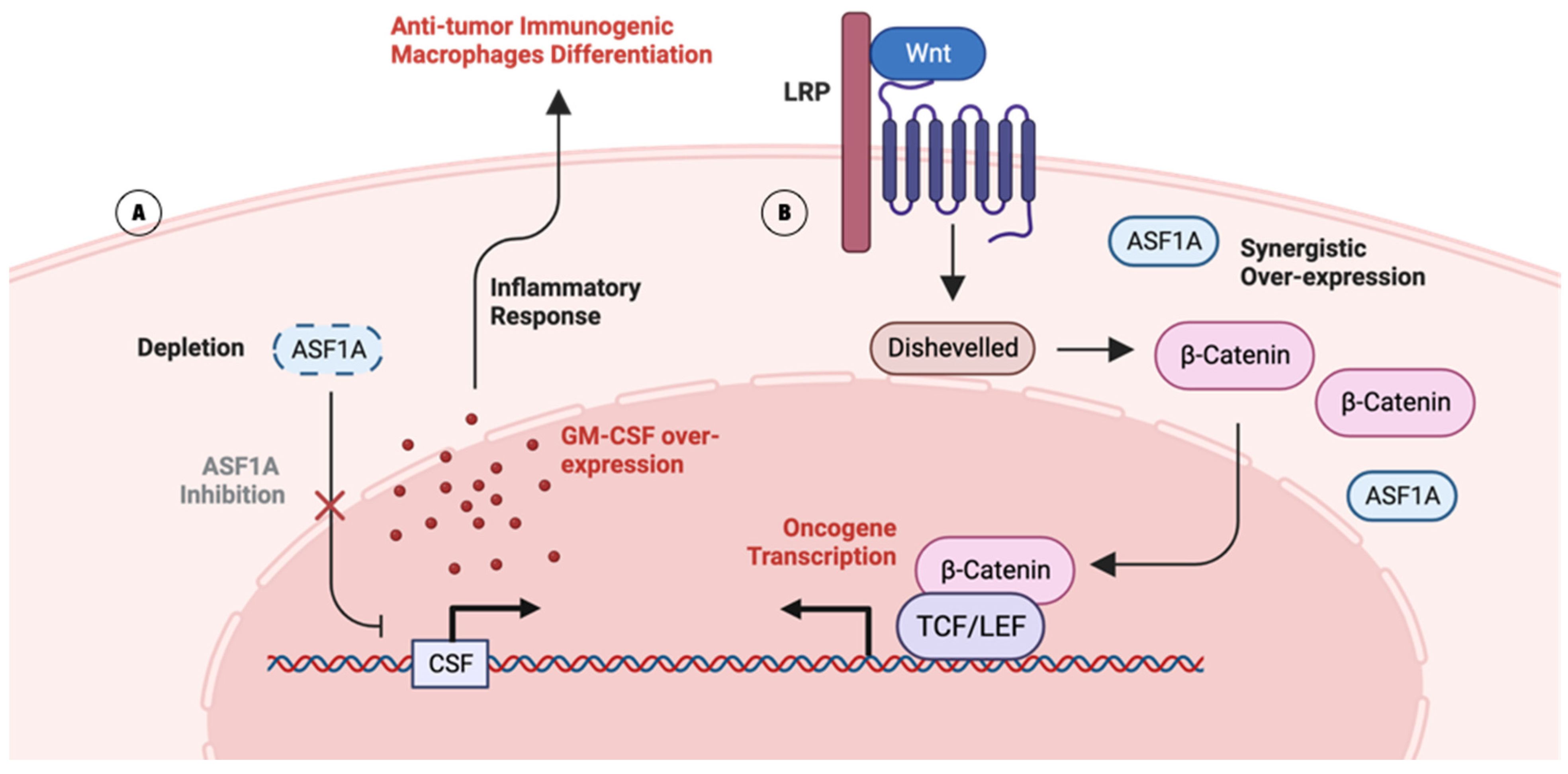 Ijms 25 06403 g003 Ijms 25 06403 g003