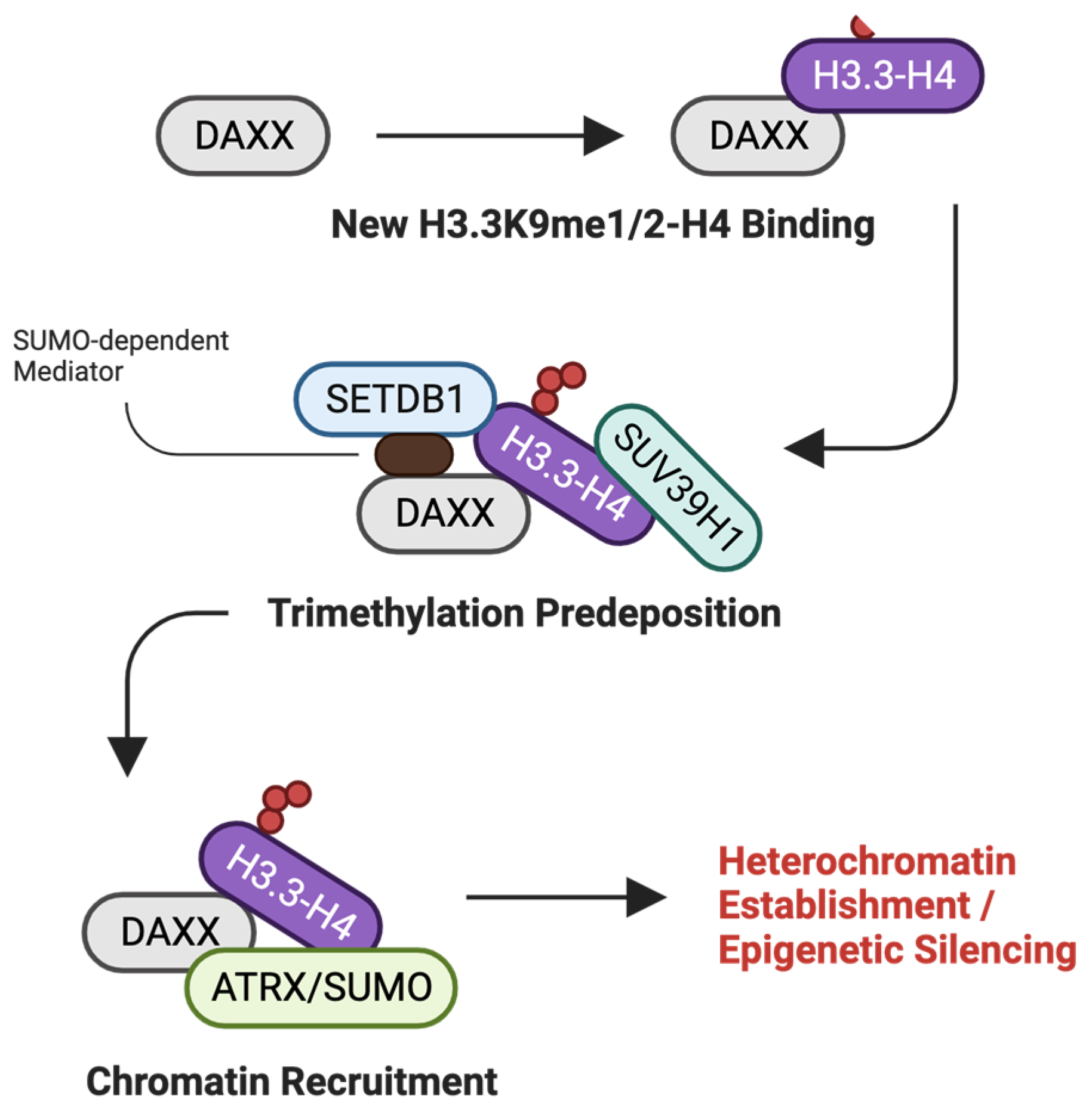 Ijms 25 06403 g010 Ijms 25 06403 g010