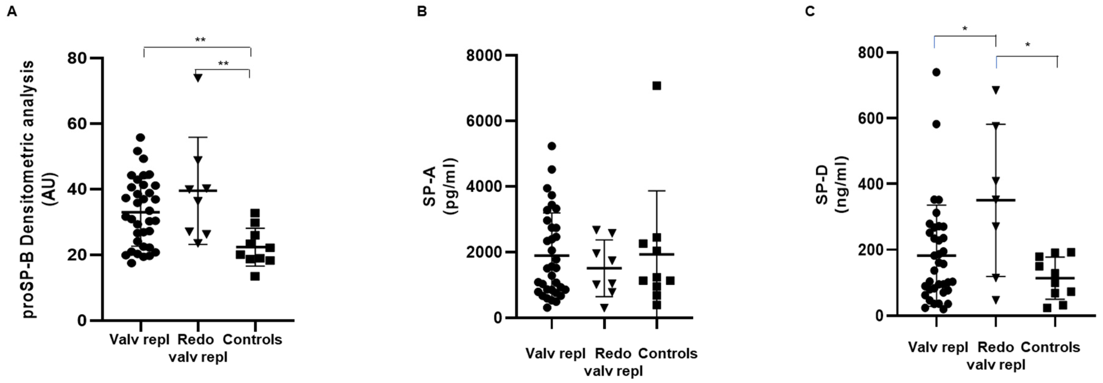 Ijms 25 06418 g001 Ijms 25 06418 g001