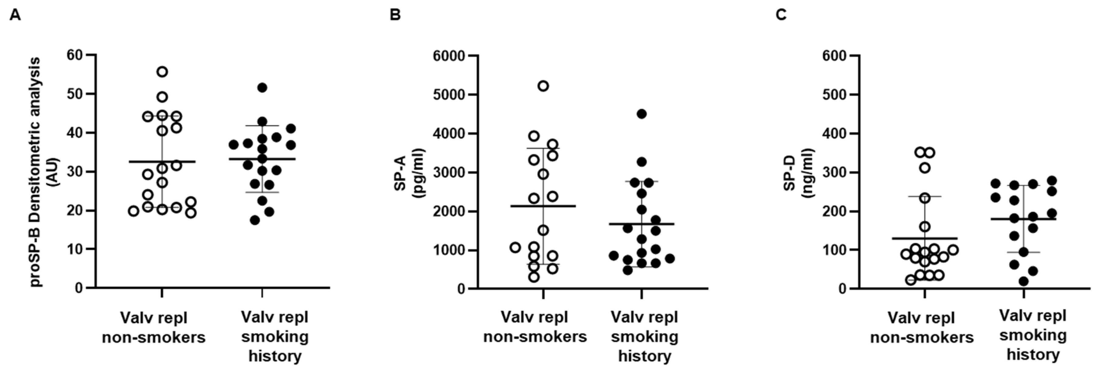 Ijms 25 06418 g002 Ijms 25 06418 g002